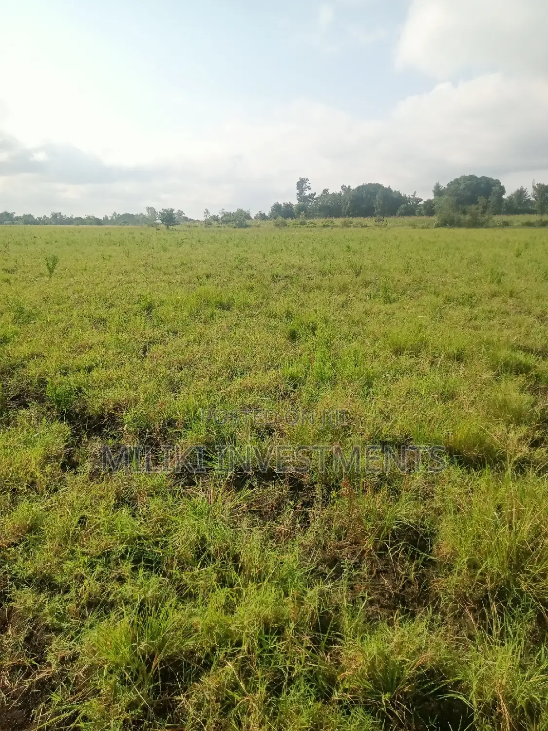 Land Investment in Makutano - 2 Acre Plot Available! in Mutithi