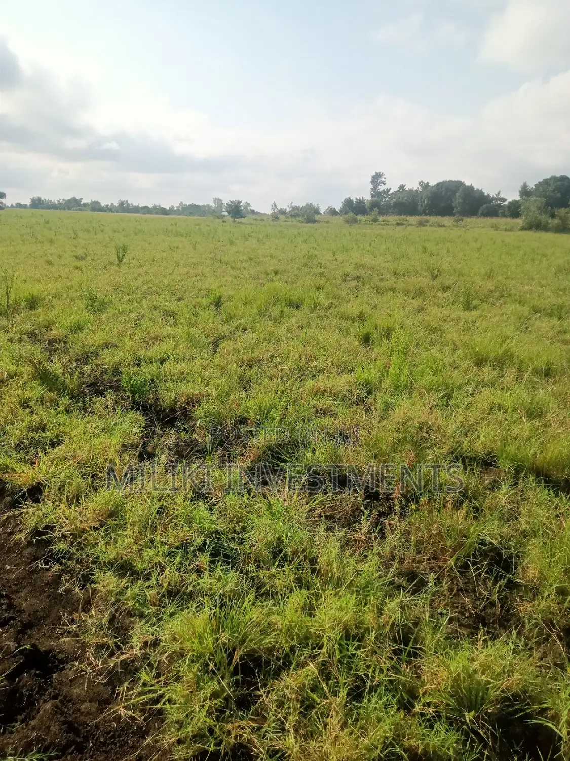 Land Investment in Makutano - 2 Acre Plot Available! in Mutithi