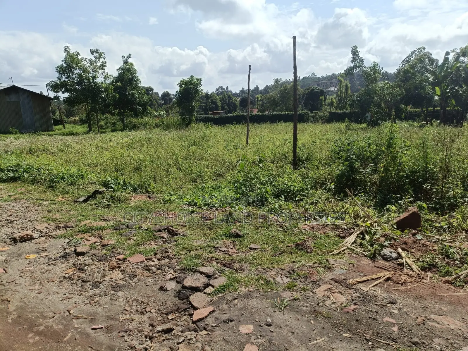 Gikambura Kikuyu: 50x100 Prime Plot Ready for Sale - Your Dream Land Awaits! in Thogoto