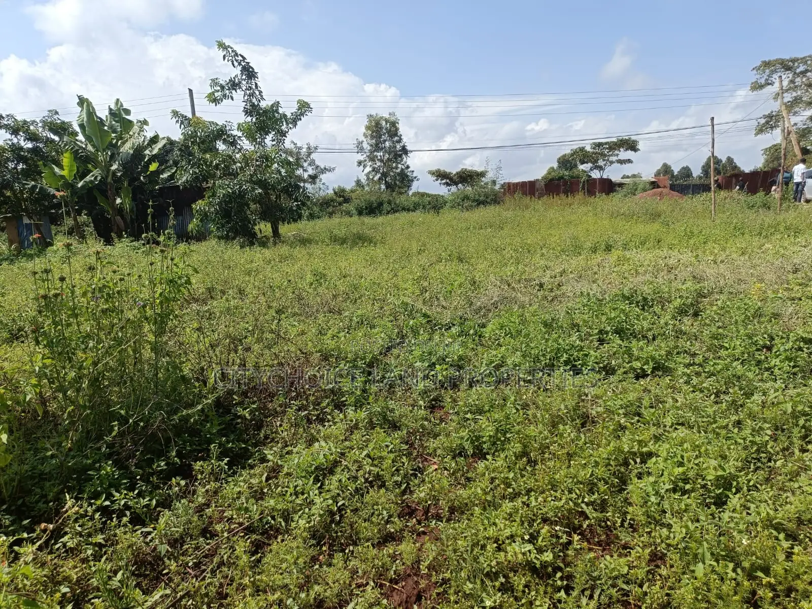 Gikambura Kikuyu: 50x100 Prime Plot Ready for Sale - Your Dream Land Awaits! in Thogoto