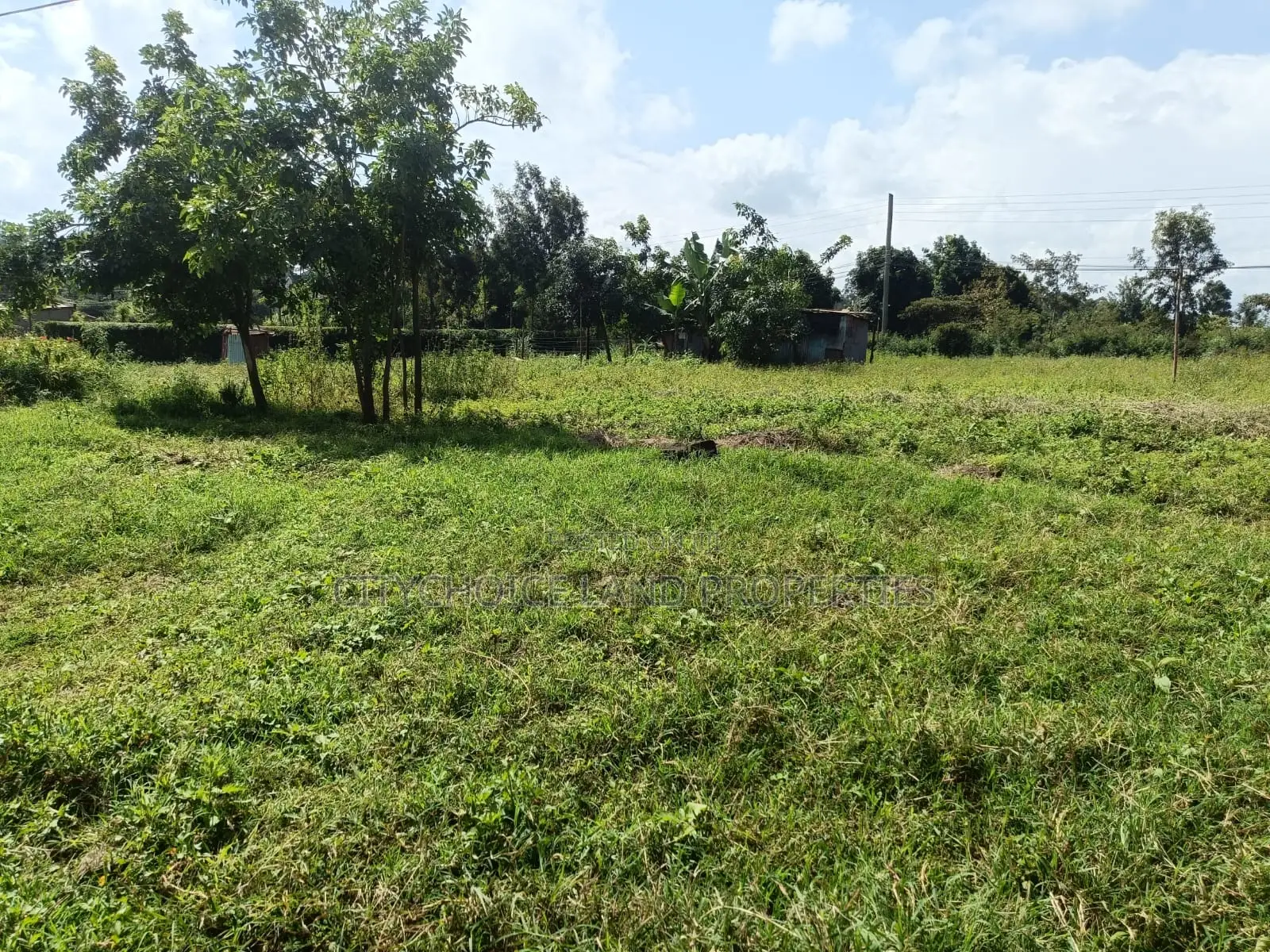 Gikambura Kikuyu: 50x100 Prime Plot Ready for Sale - Your Dream Land Awaits! in Thogoto