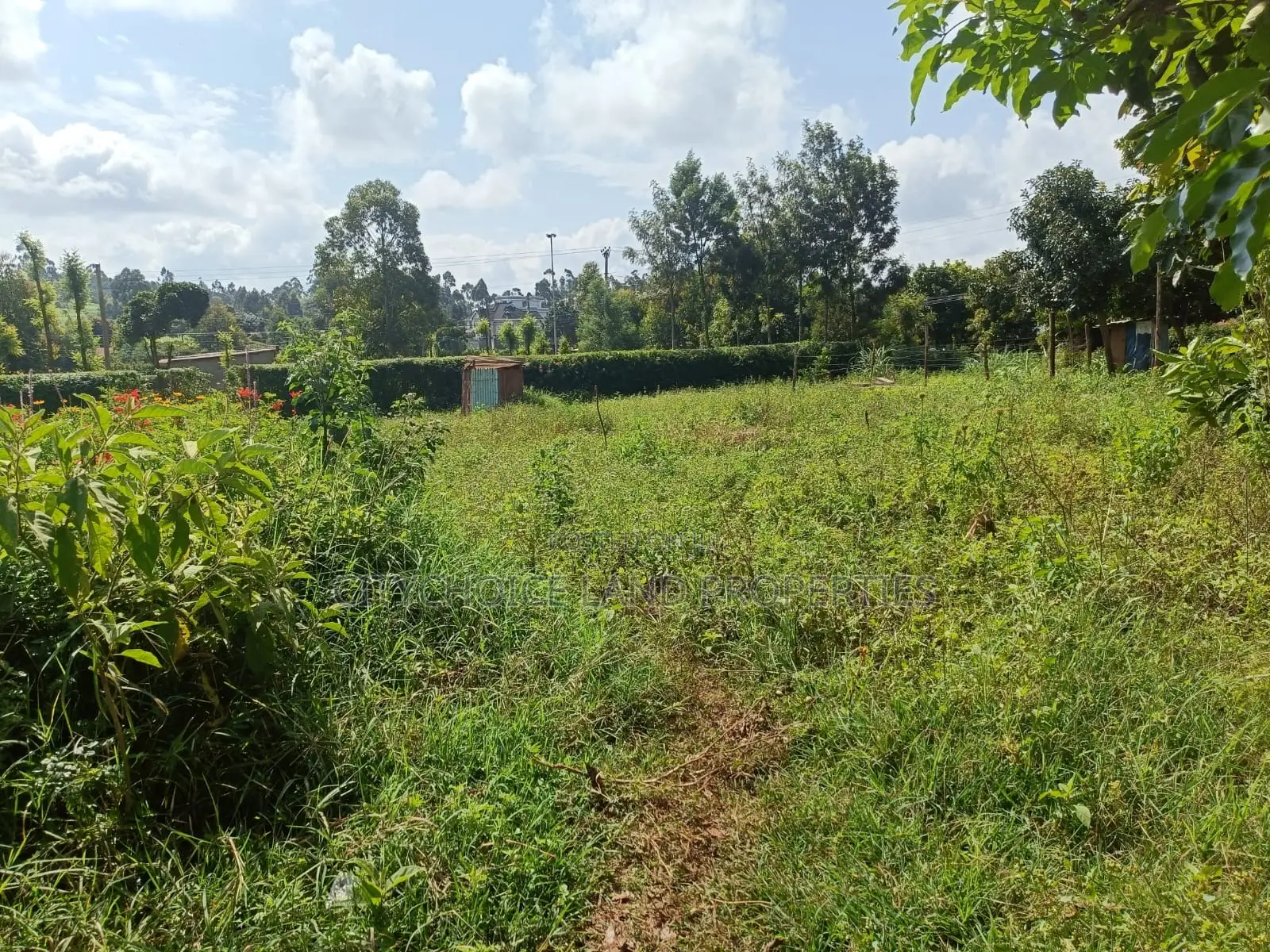 Gikambura Kikuyu: 50x100 Prime Plot Ready for Sale - Your Dream Land Awaits! in Thogoto