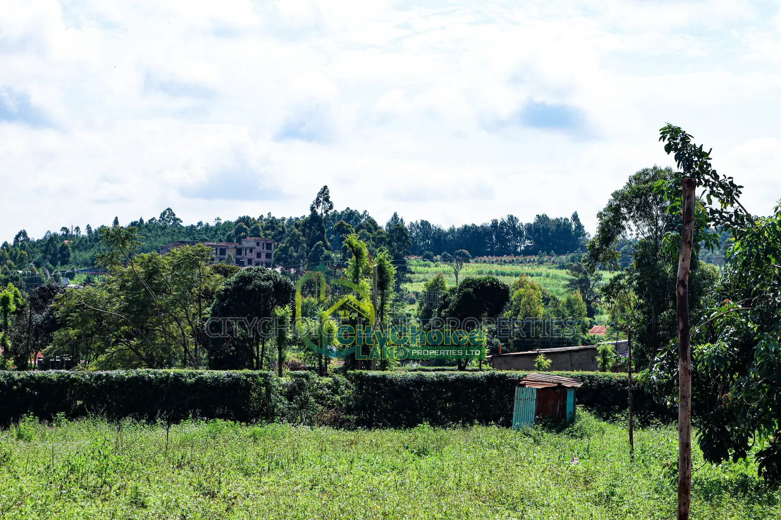 Gikambura Plot - 50x100 Sq. Meters for Sale in Thogoto