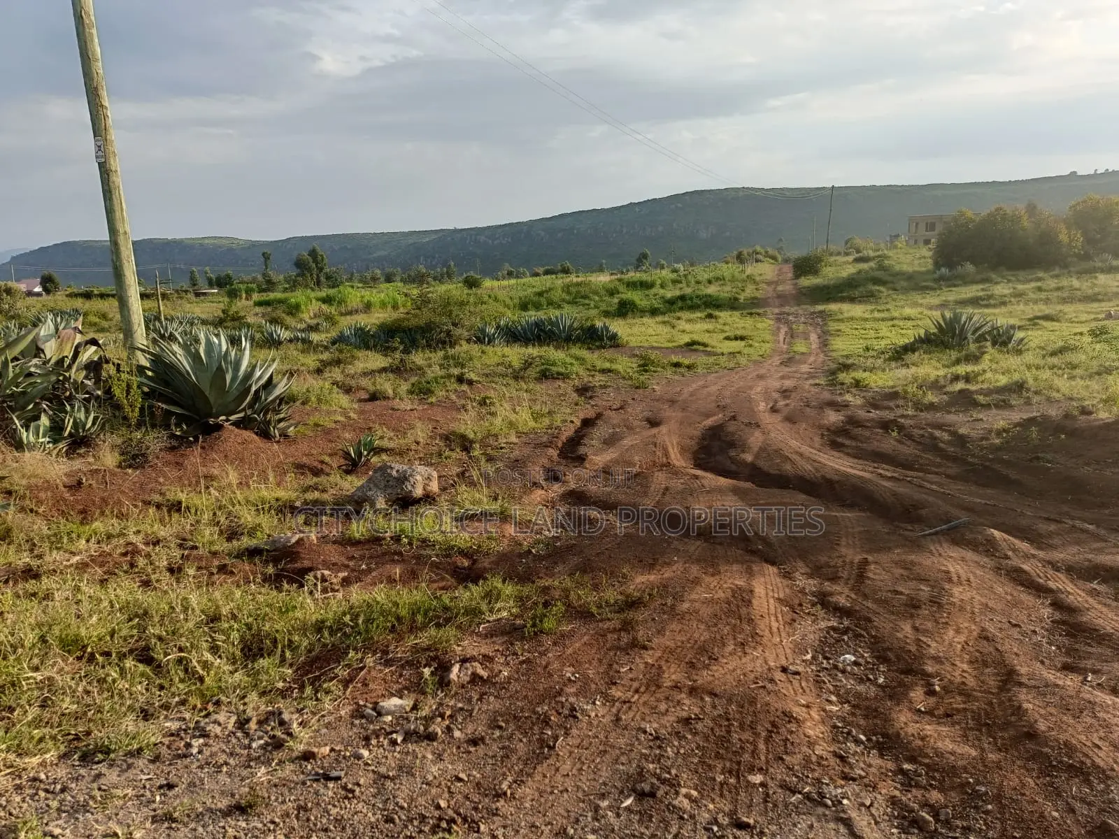 Prime 50x100 Land Plot in Nachu Kikuyu - Seize the Opportunity! in Thogoto