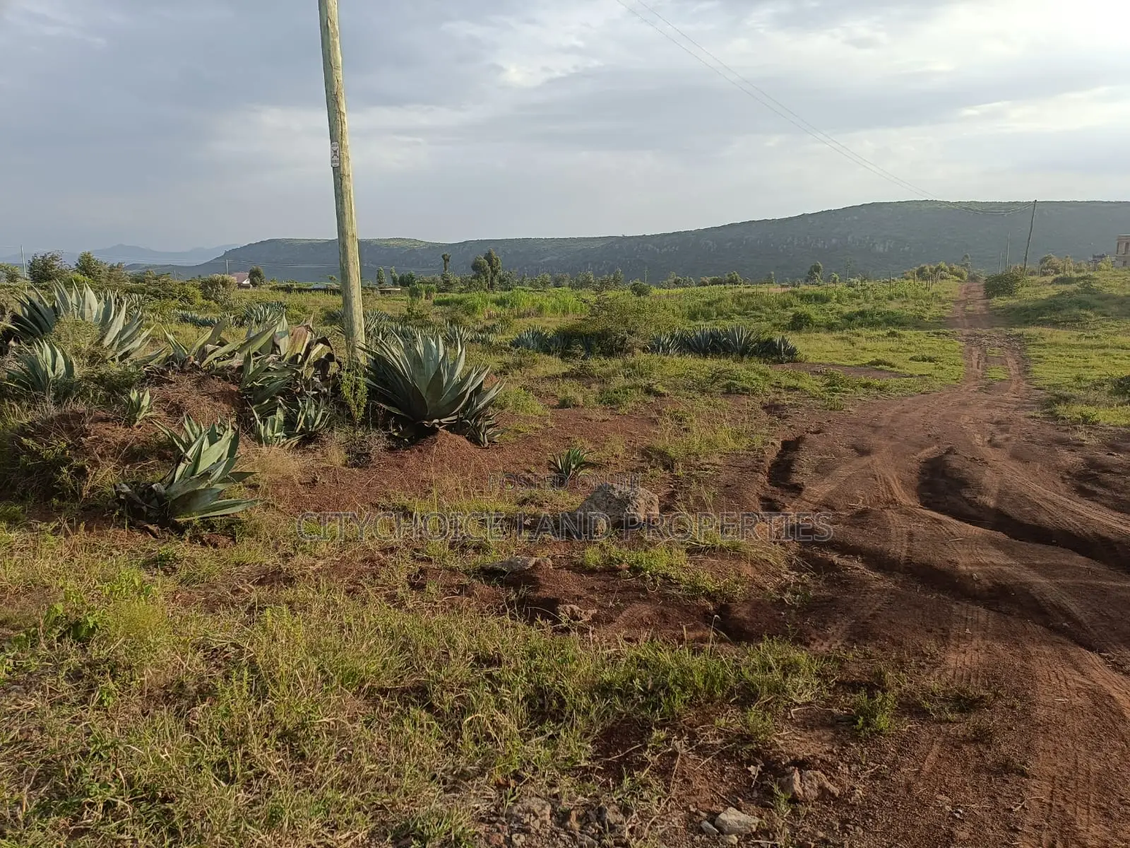 Prime 50x100 Land Plot in Nachu Kikuyu - Seize the Opportunity! in Thogoto