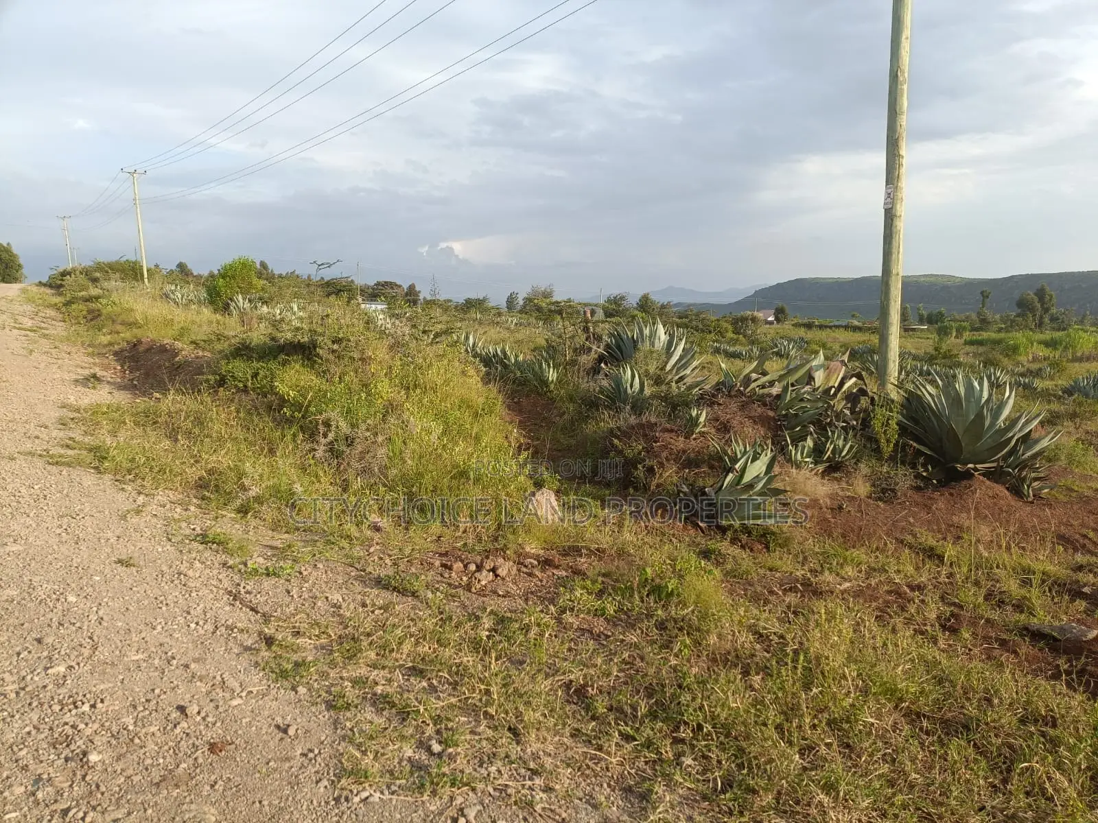 Prime 50x100 Land Plot in Nachu Kikuyu - Seize the Opportunity! in Thogoto