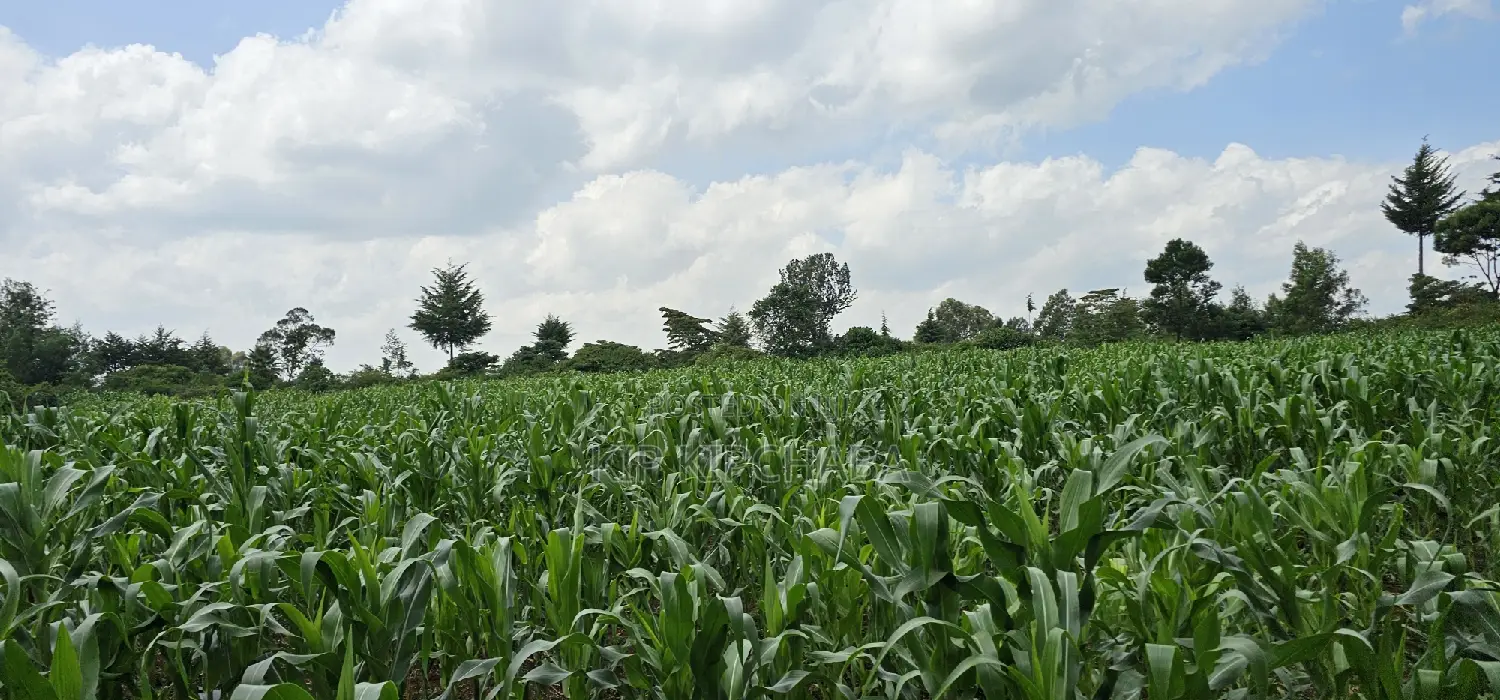 2 Acres of Land in Chepkanga Eldoret - Perfect for Your Dream Project! in Racecourse