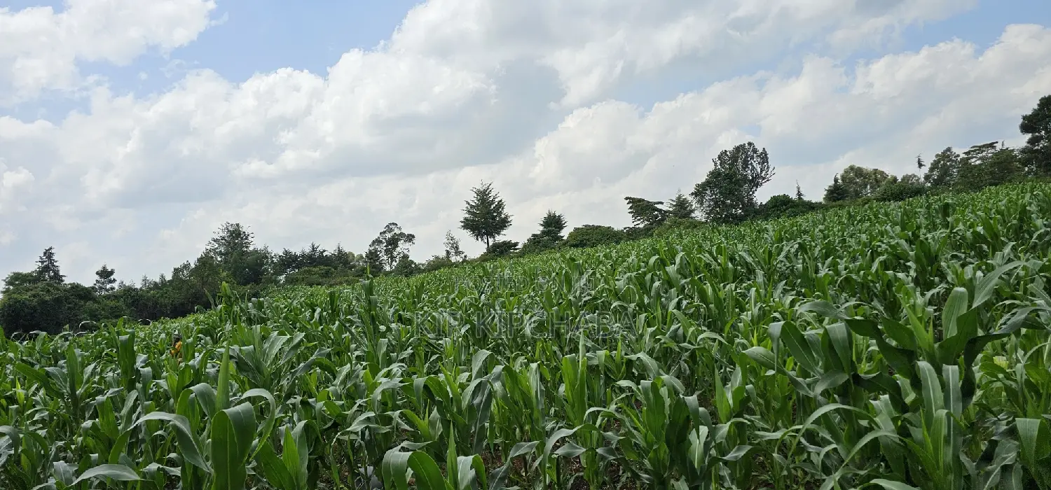 2 Acres of Land in Chepkanga Eldoret - Perfect for Your Dream Project! in Racecourse