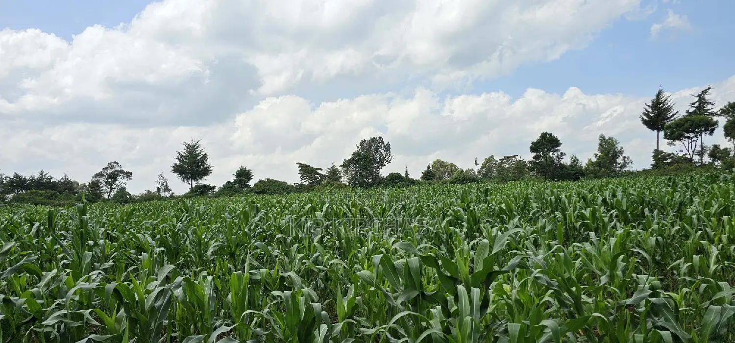 2 Acres of Land in Chepkanga Eldoret - Perfect for Your Dream Project! in Racecourse