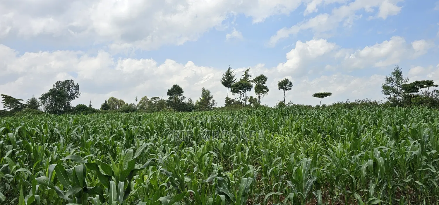 2 Acres of Land in Chepkanga Eldoret - Perfect for Your Dream Project! in Racecourse