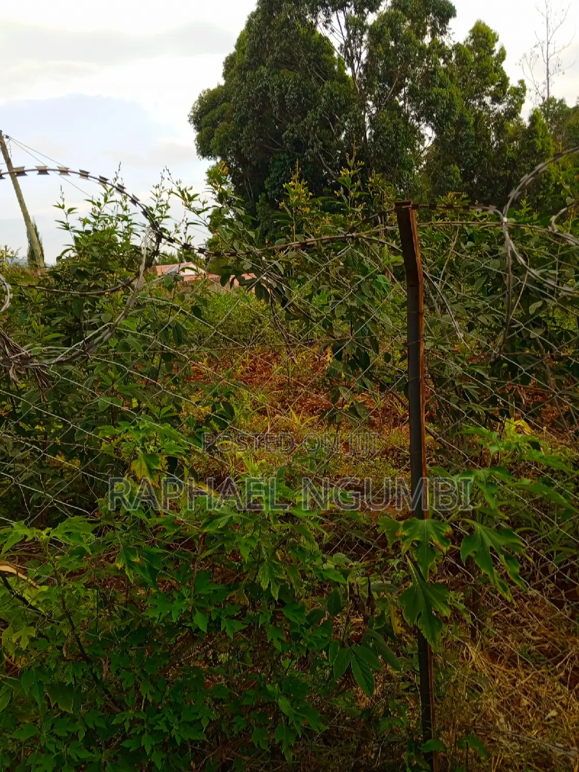 Buy 50*100 Plots in Mavivye Mumbuni - Great Investment Opportunity in Machakos Town