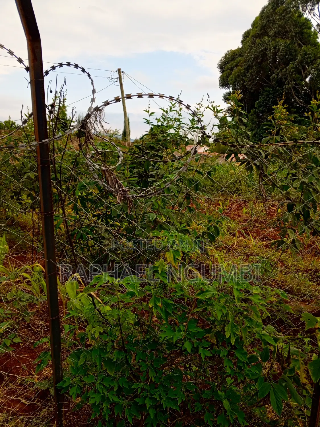 Buy 50*100 Plots in Mavivye Mumbuni - Great Investment Opportunity in Machakos Town