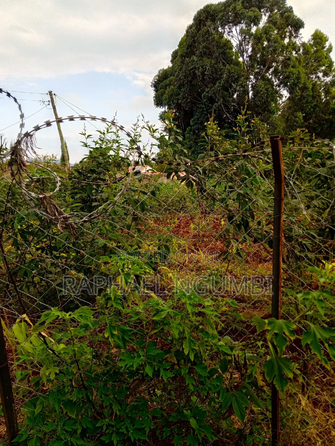 Buy 50*100 Plots in Mavivye Mumbuni - Great Investment Opportunity in Machakos Town