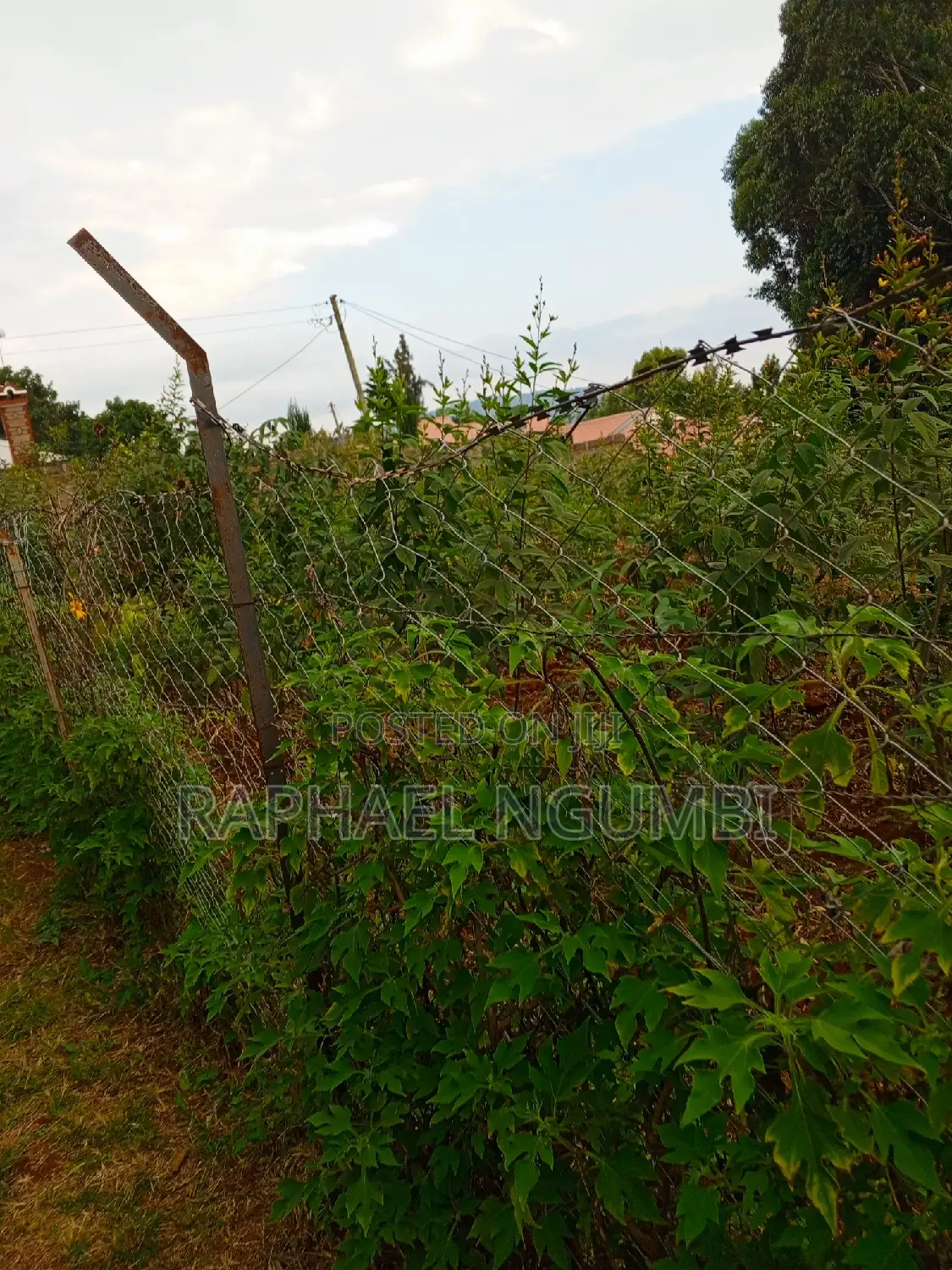 Buy 50*100 Plots in Mavivye Mumbuni - Great Investment Opportunity in Machakos Town