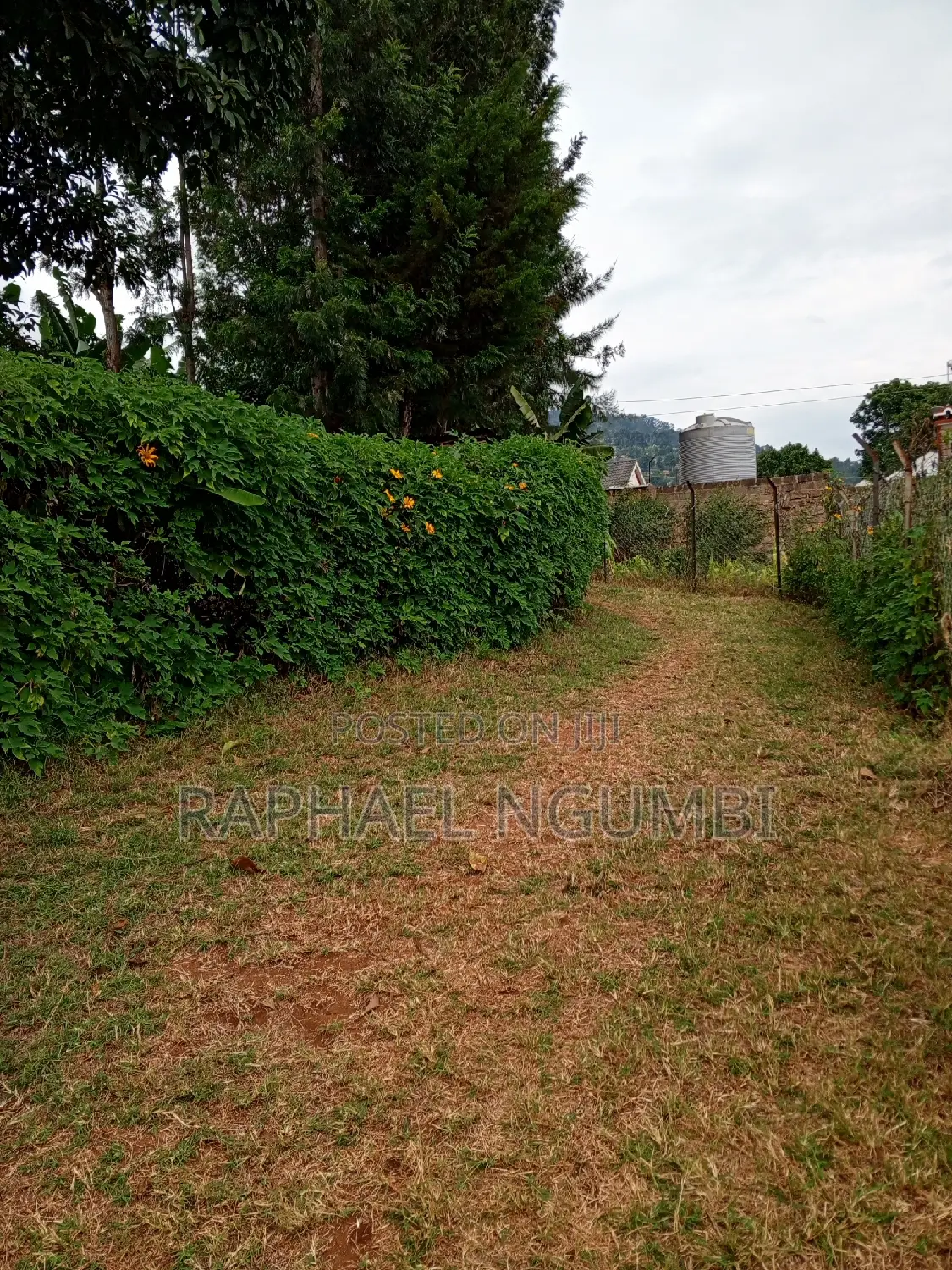 Buy 50*100 Plots in Mavivye Mumbuni - Great Investment Opportunity in Machakos Town