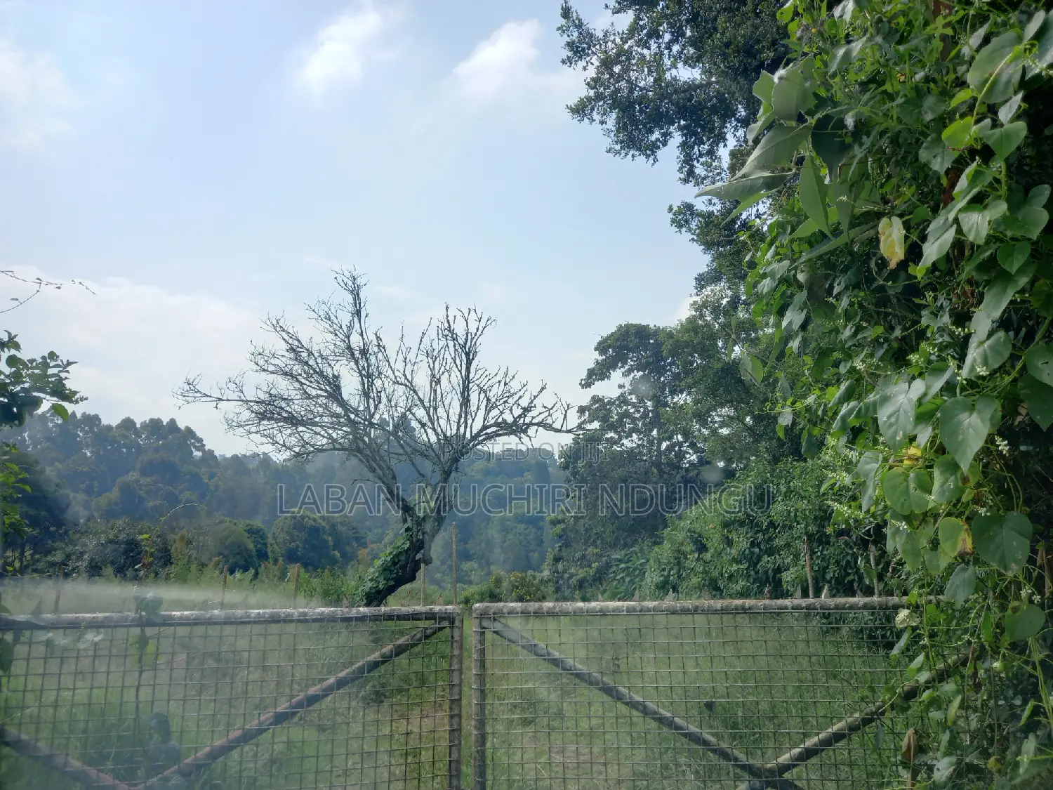 Land for Sale in Tigoni