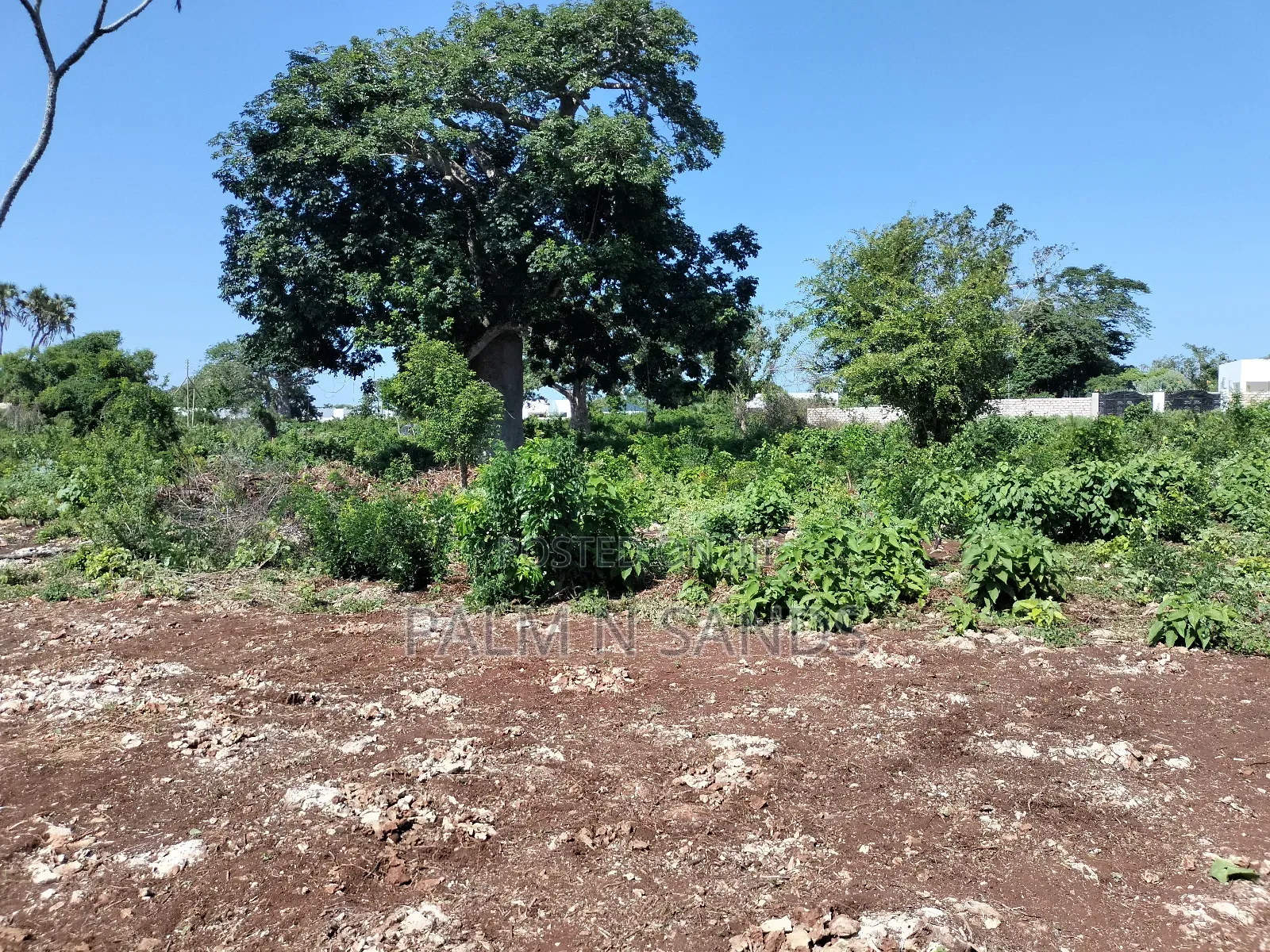 Buy Your Dream Plot in Galu Today - Prime Location Opportunities in Ukunda