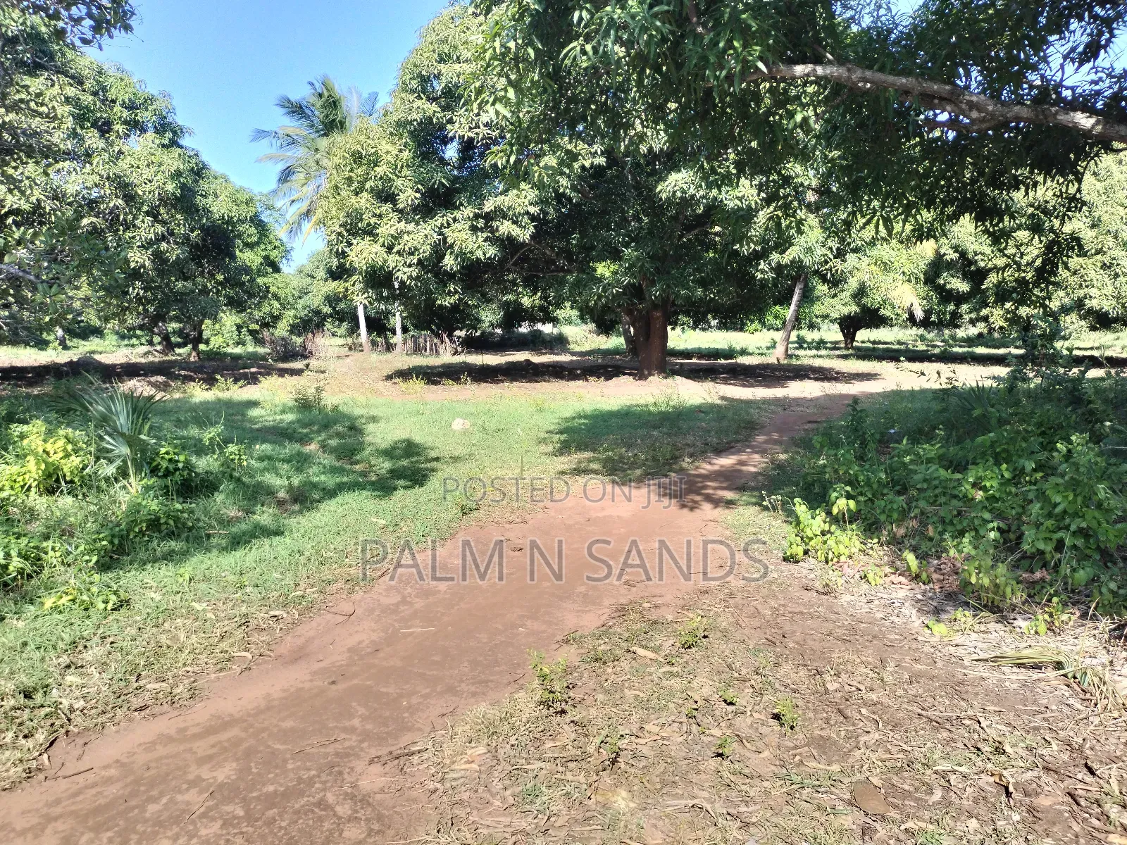 South Coast 5.9 Acre Land - Perfect for Investment and Development in Kinondo