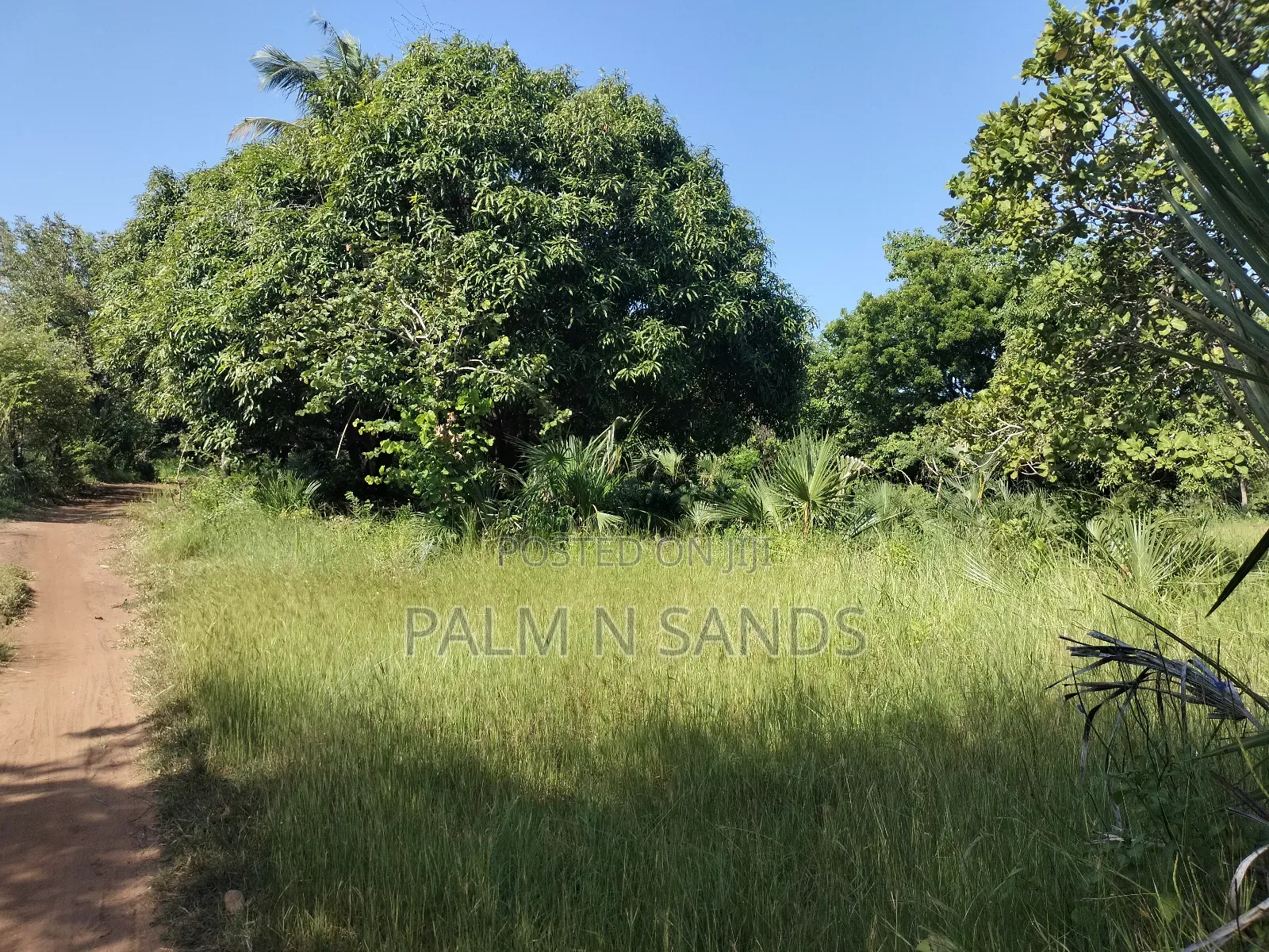 South Coast 5.9 Acre Land - Perfect for Investment and Development in Kinondo
