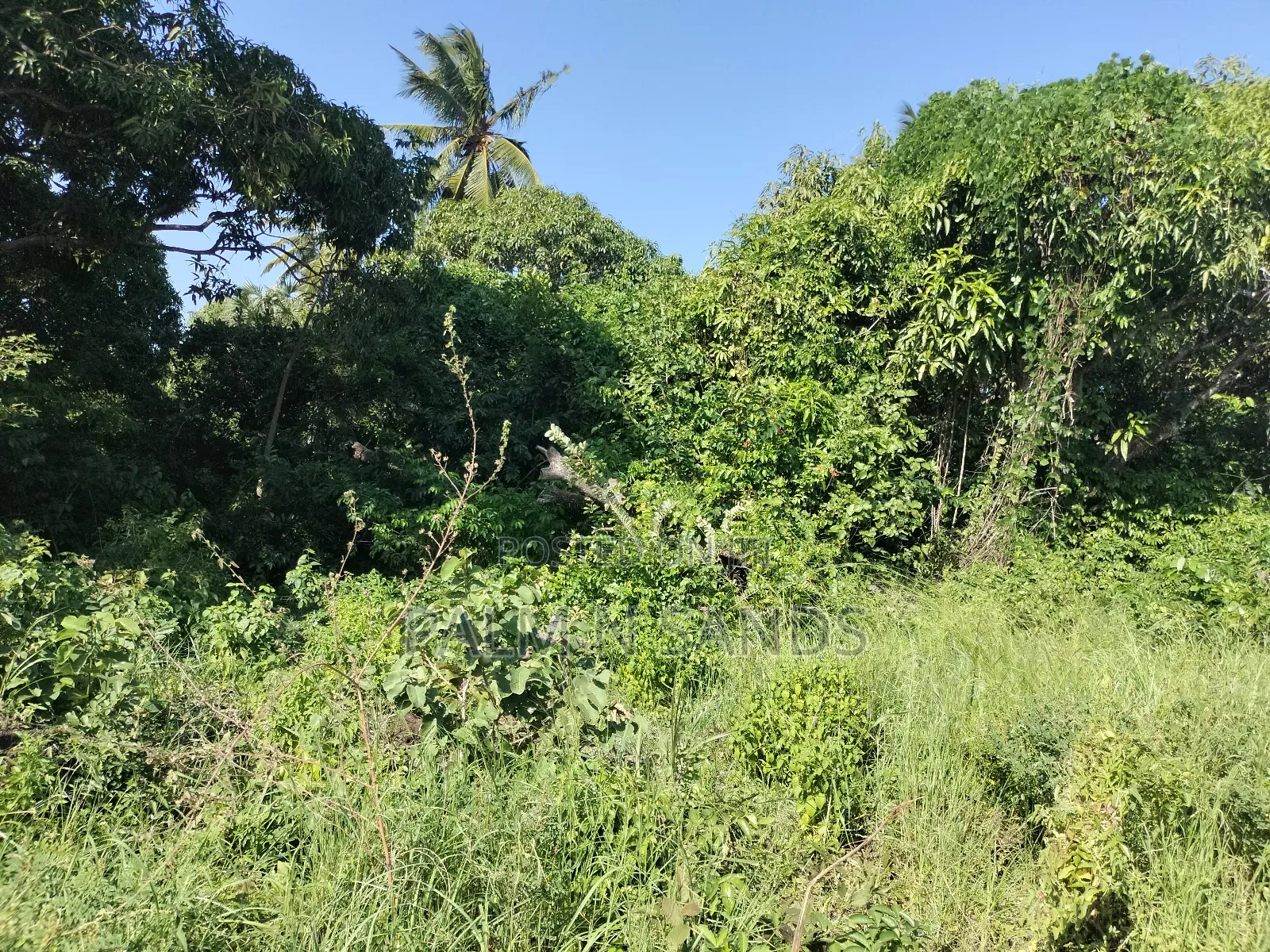 South Coast 5.9 Acre Land - Perfect for Investment and Development in Kinondo