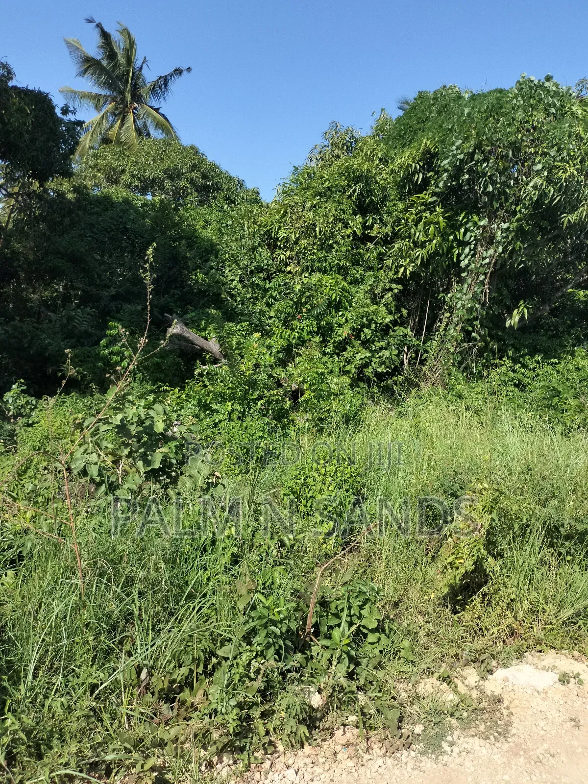 South Coast 5.9 Acre Land - Perfect for Investment and Development in Kinondo