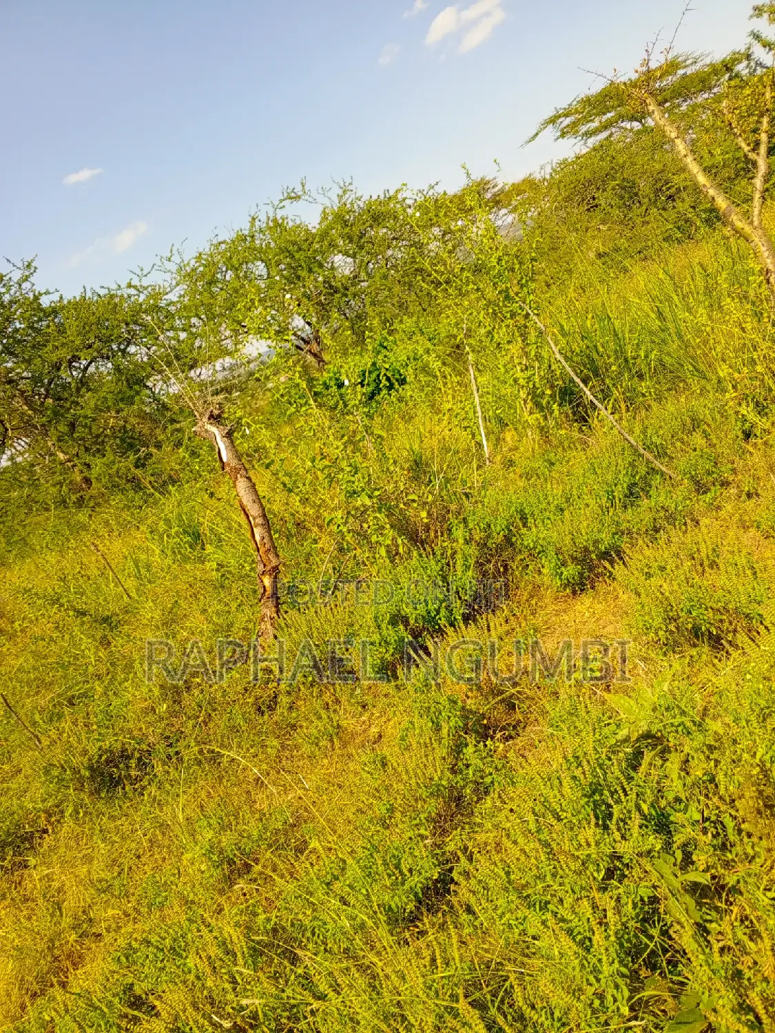 5-Acre Land for Sale: Prime Location on Katumani Road in Machakos Town