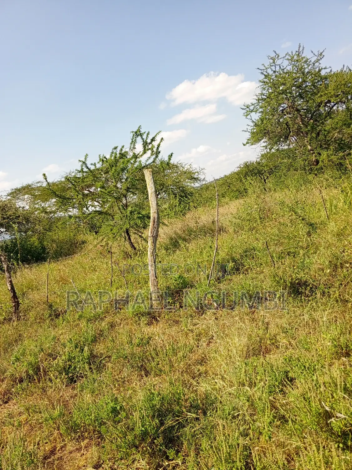 5-Acre Land for Sale: Prime Location on Katumani Road in Machakos Town