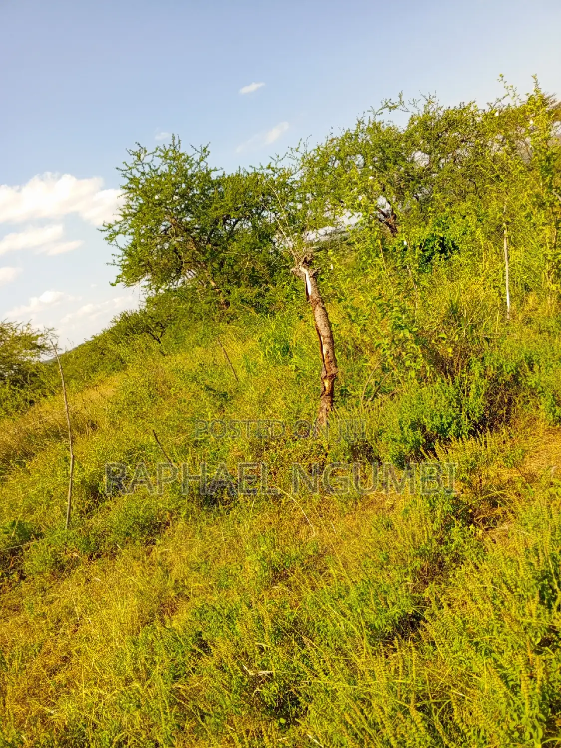 5-Acre Land for Sale: Prime Location on Katumani Road in Machakos Town
