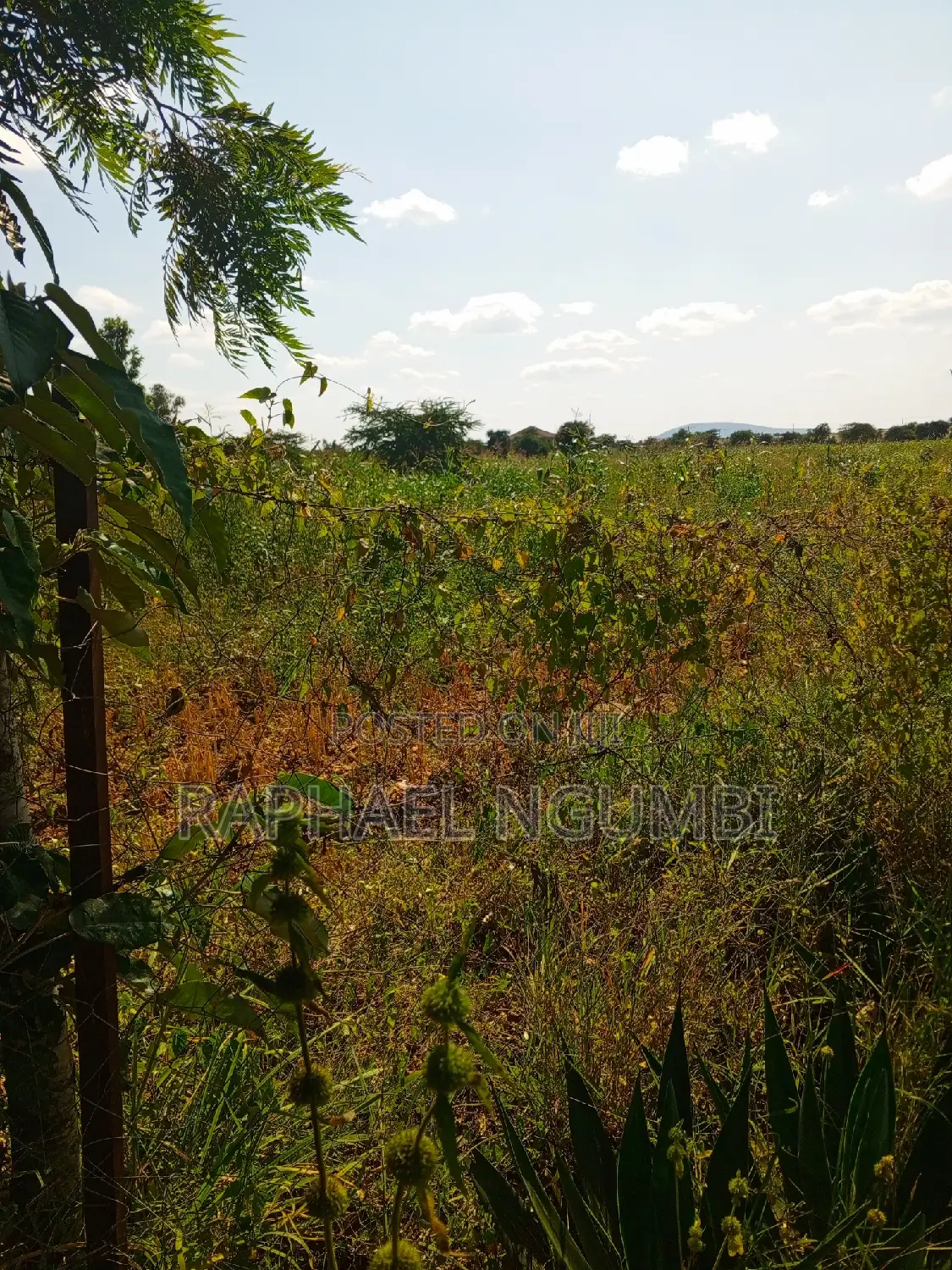 Two-Acre Plot Available in Machakos Vota Real Estate in Machakos Town