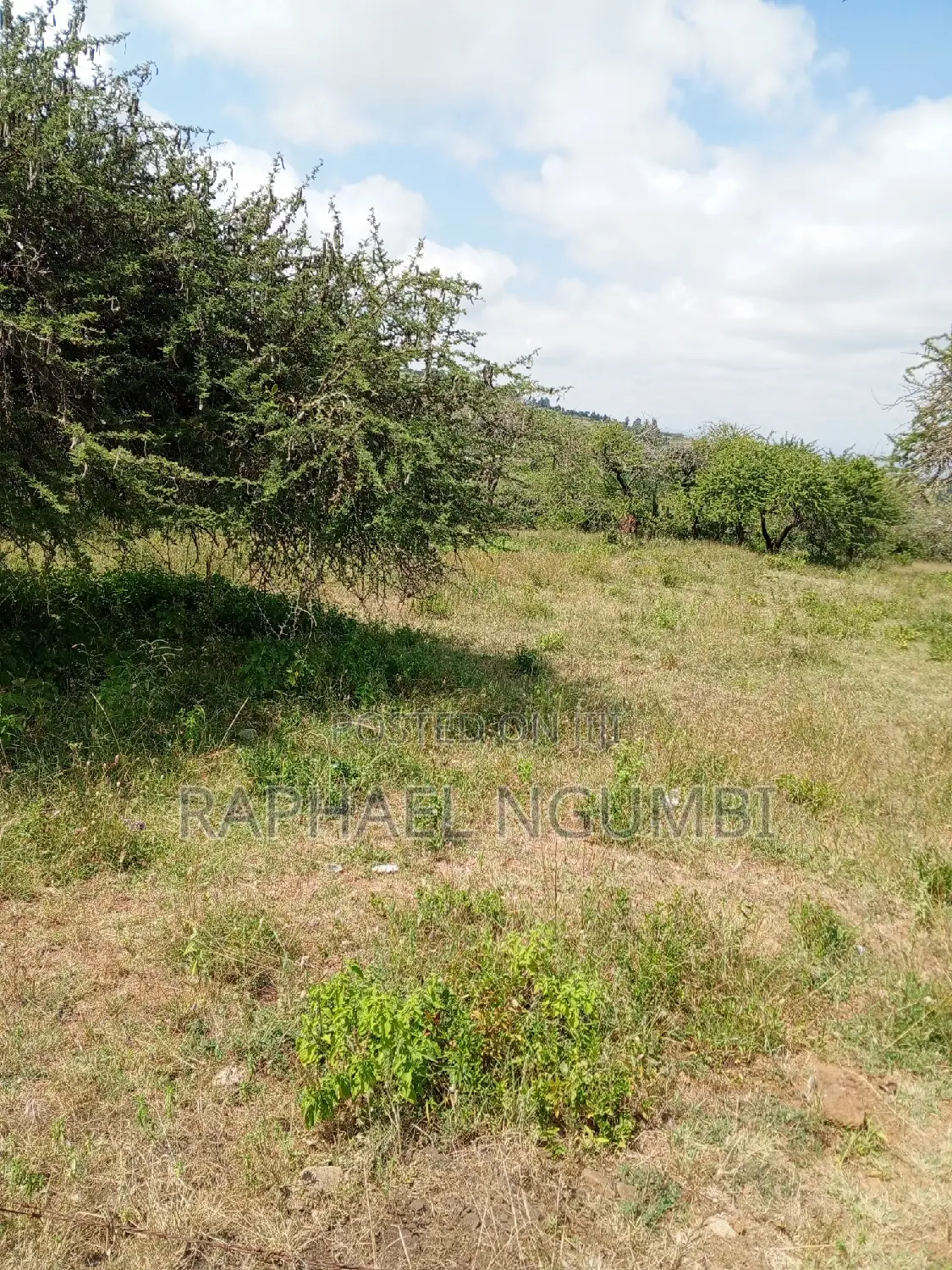3-Acre Mua Hills Property for Sale in Mua