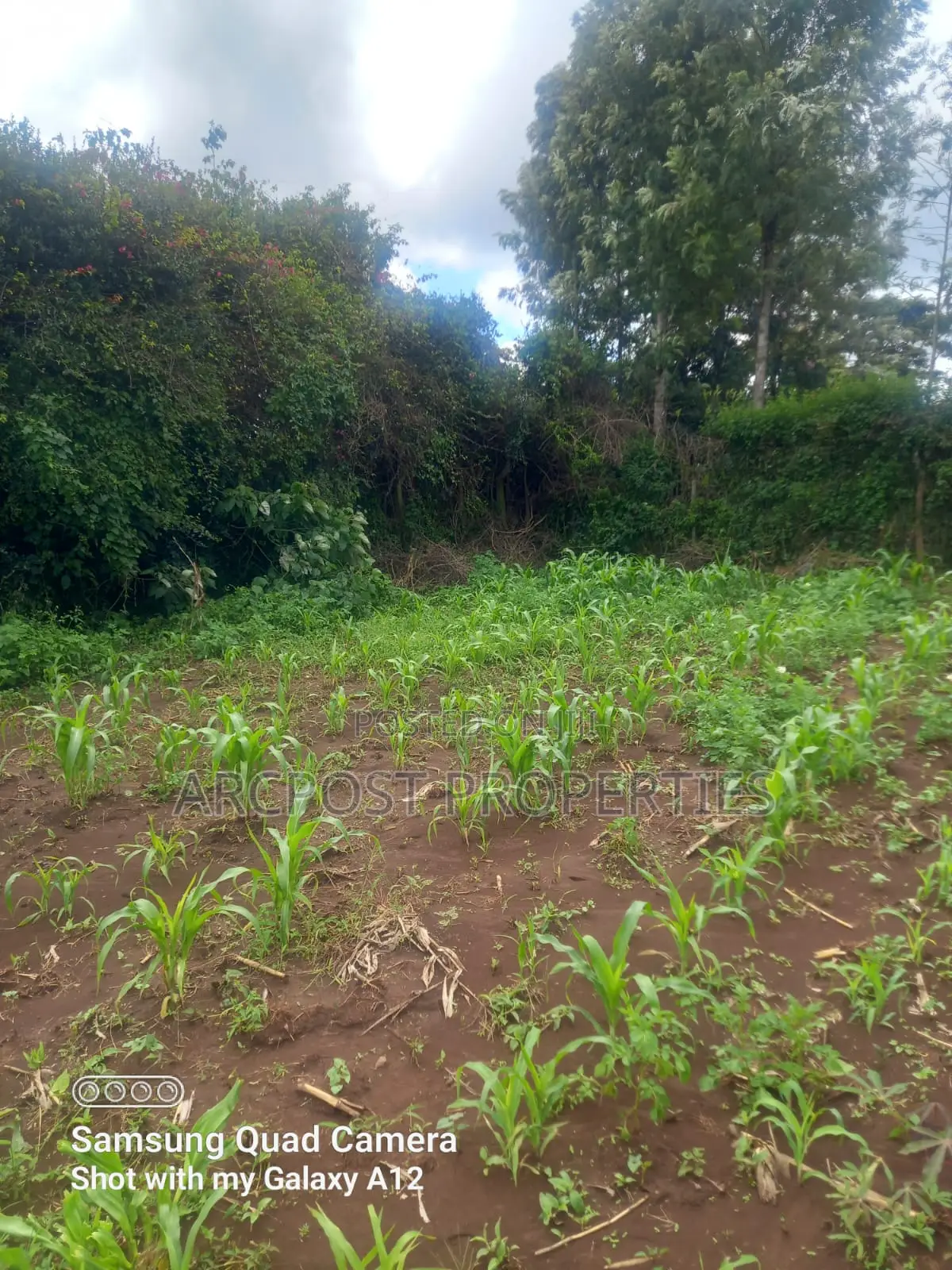 Quarter an Acre for Sale in Ngong Olkeri in Ol Keri