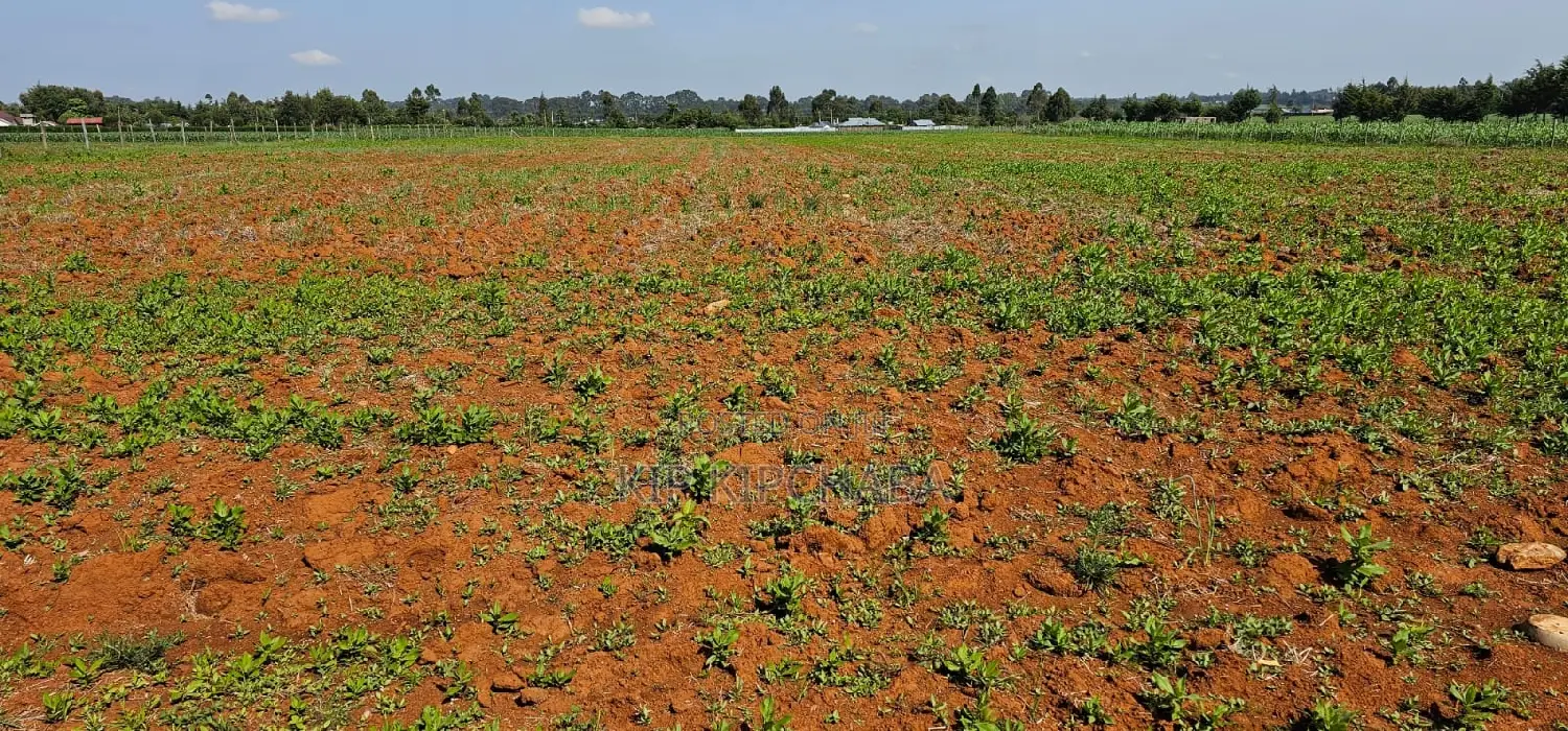 Find Your Dream Quarter Acre Plot in Chemaluk Marura, Eldoret Today in Kimumu