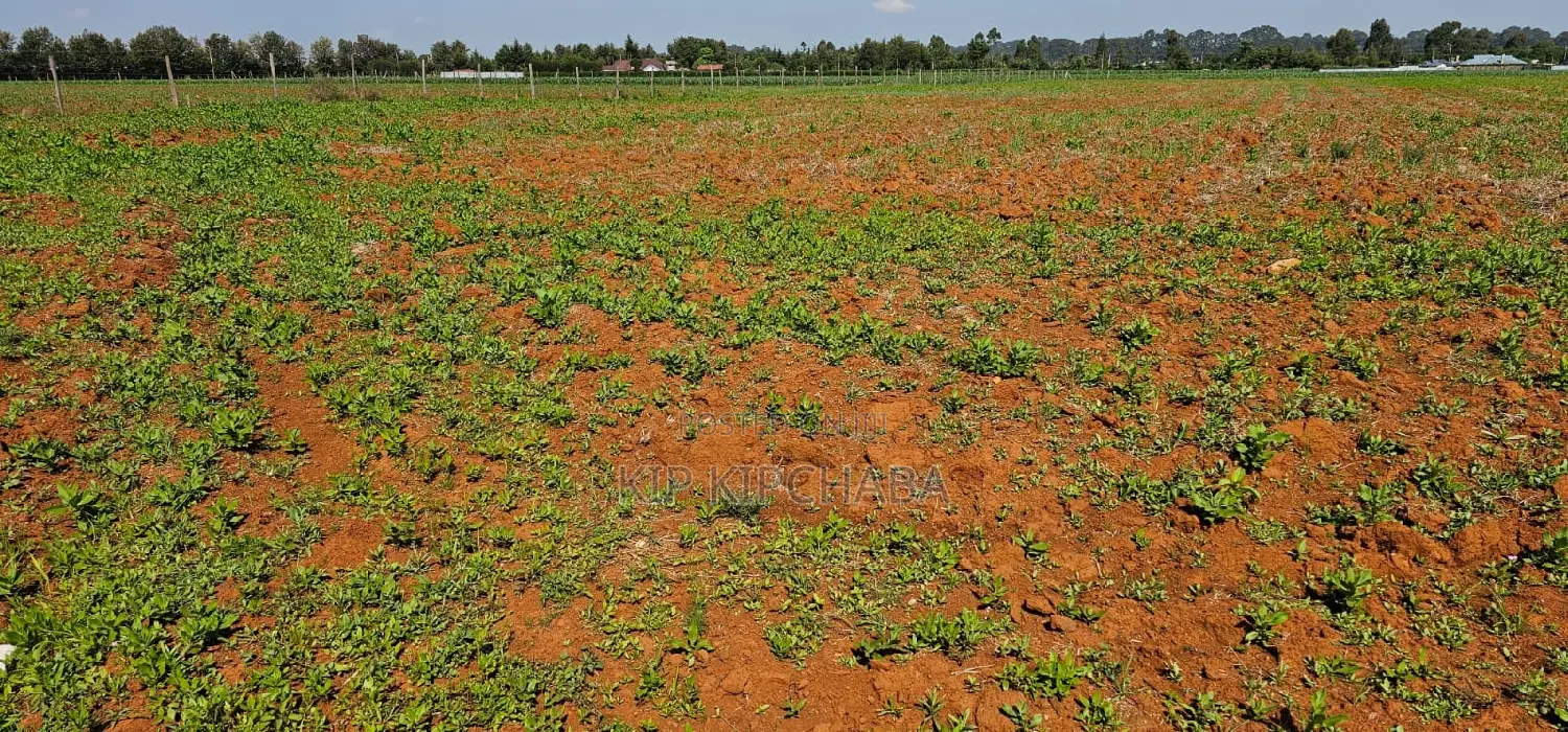 Find Your Dream Quarter Acre Plot in Chemaluk Marura, Eldoret Today in Kimumu