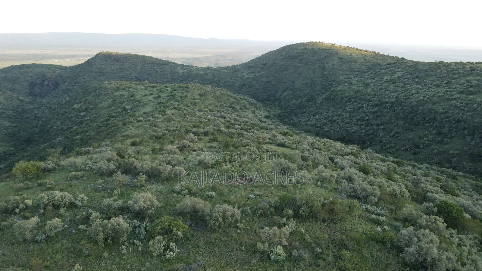 20 Acres on Hill Past Kisamis at Per Acre in Kiserian