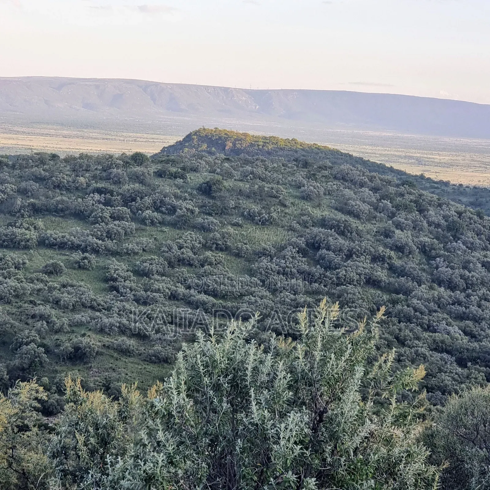 20 Acres on Hill Past Kisamis at Per Acre in Kiserian