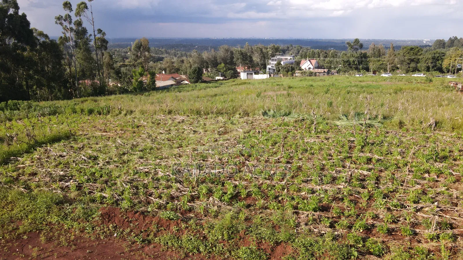 1/8 Acre Bondeni Pieces in Ngong