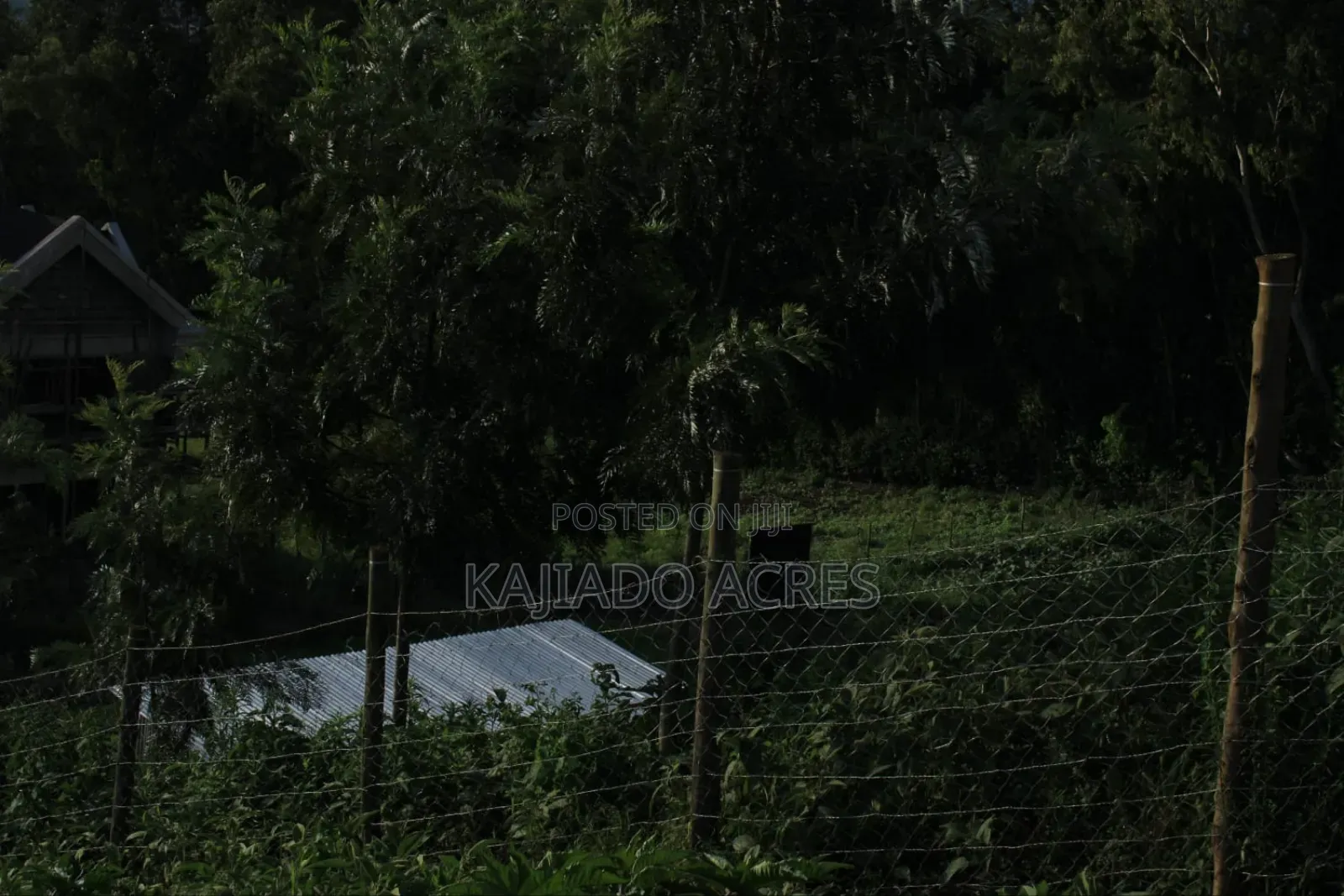 1/8 Acre Lemiso Road at 3.5m in Ngong
