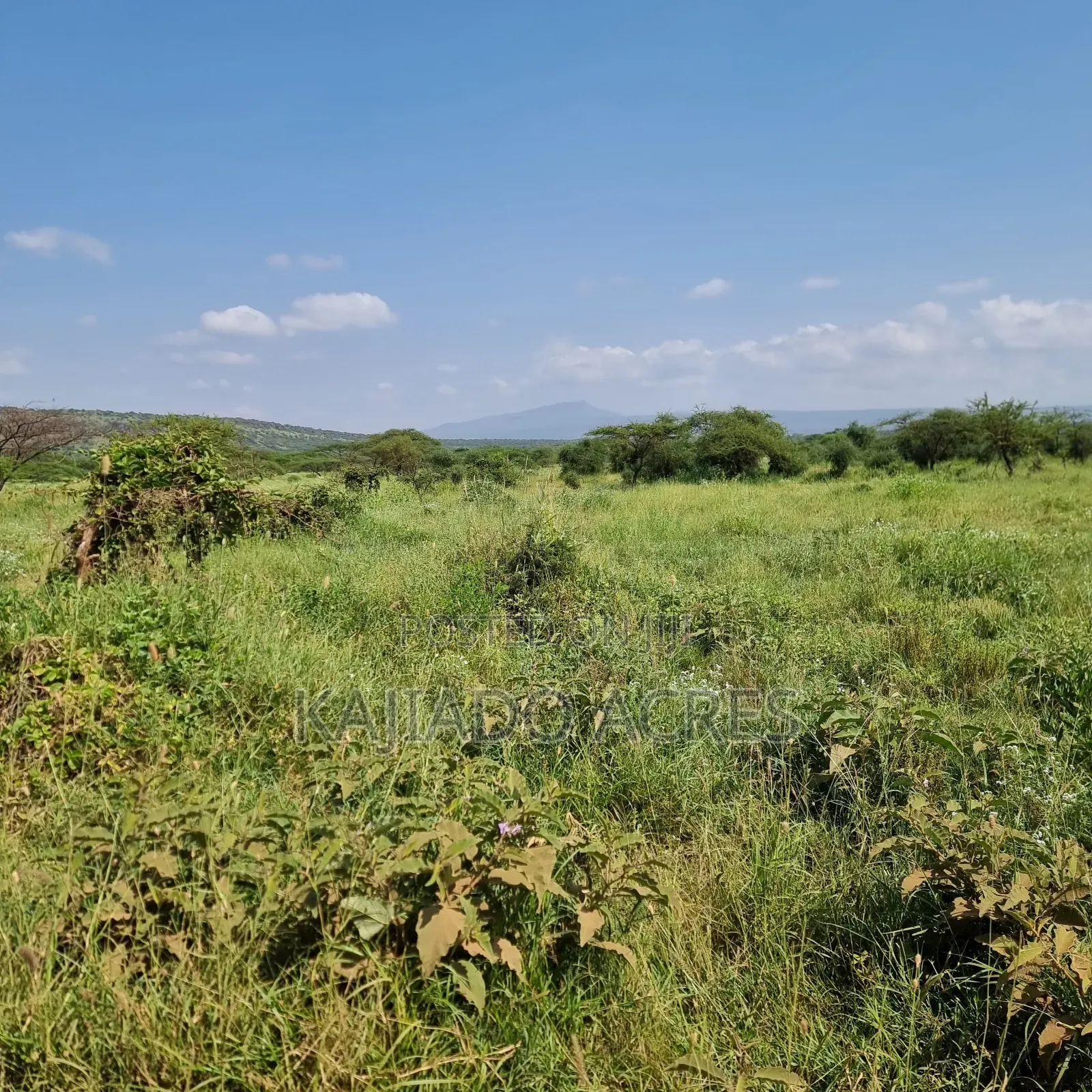 10 Acres Mparashi,Off Magadi Road,At Per Acre in Magadi