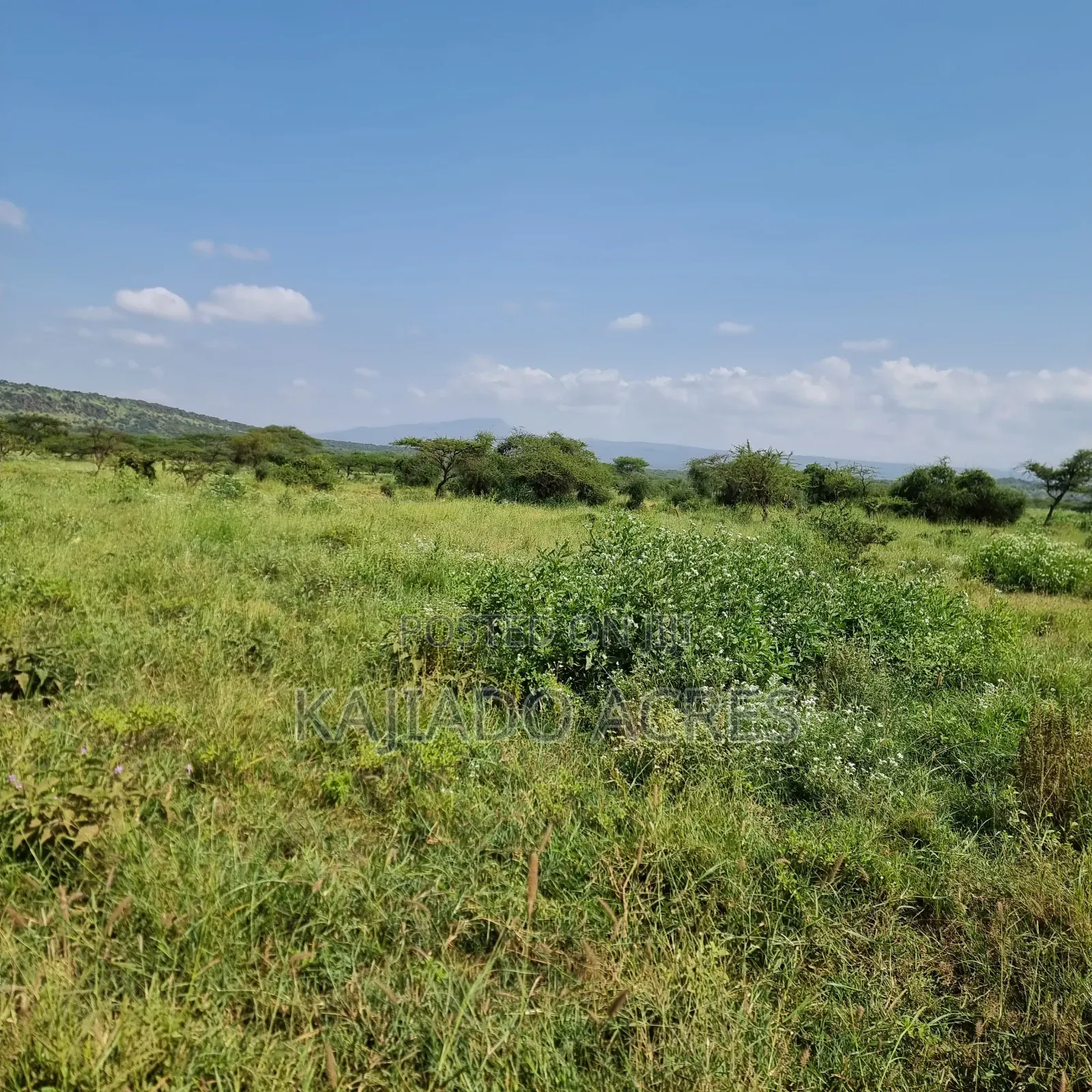 10 Acres Mparashi,Off Magadi Road,At Per Acre in Magadi