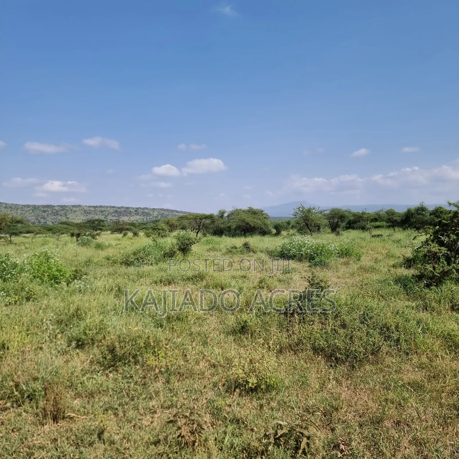 10 Acres Mparashi,Off Magadi Road,At Per Acre in Magadi