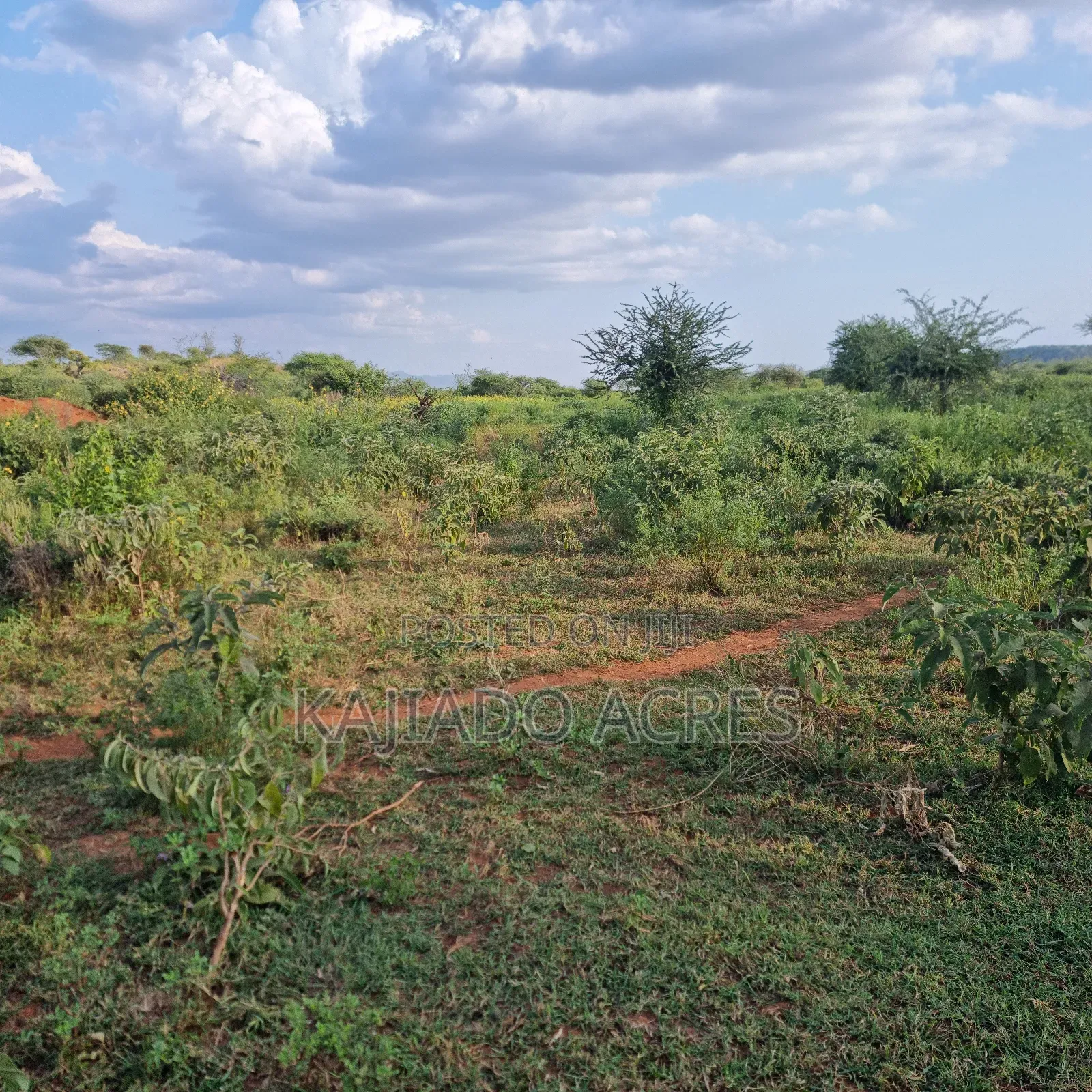 10 Acres Mparashi,Off Magadi Road,At Per Acre in Magadi