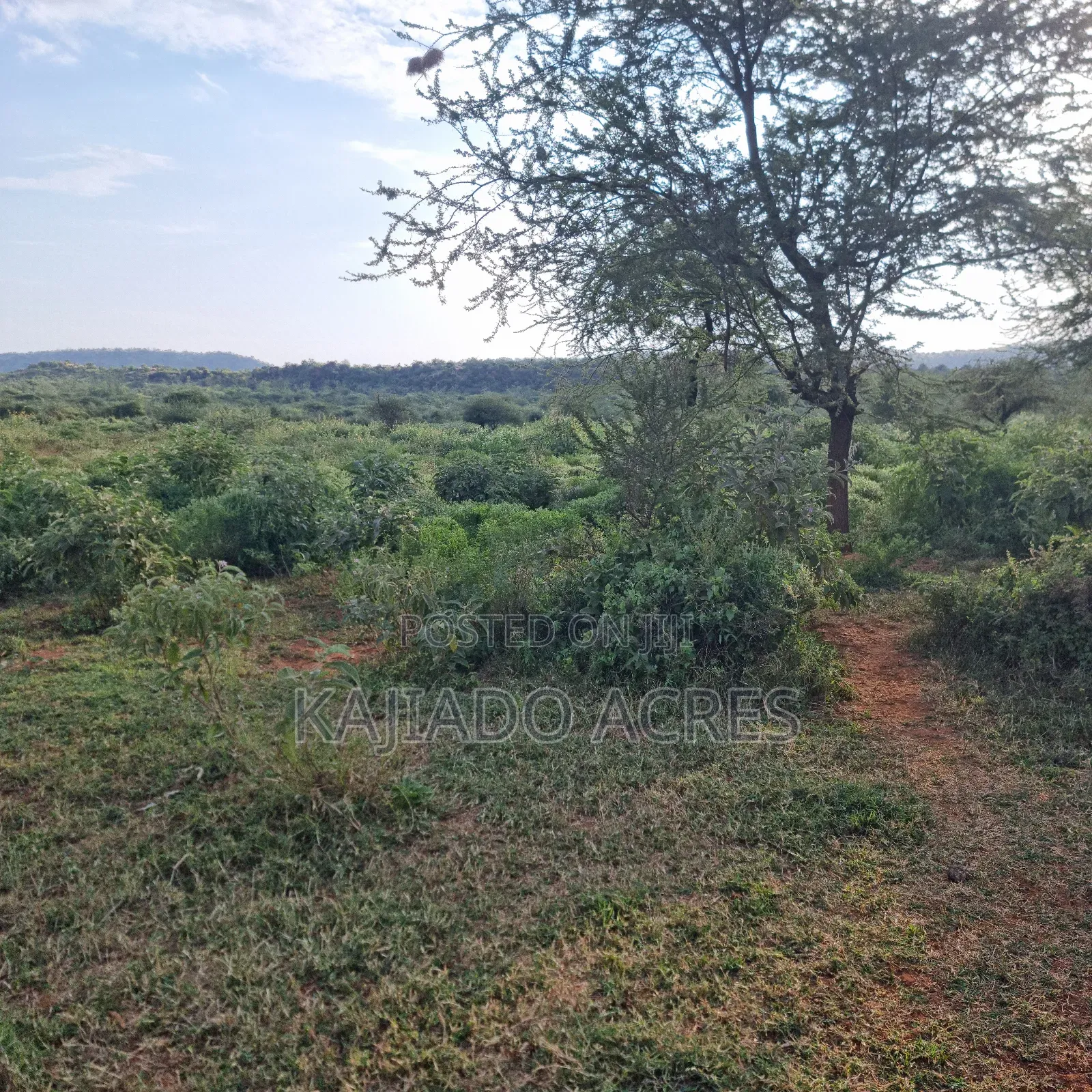 10 Acres Mparashi,Off Magadi Road,At Per Acre in Magadi