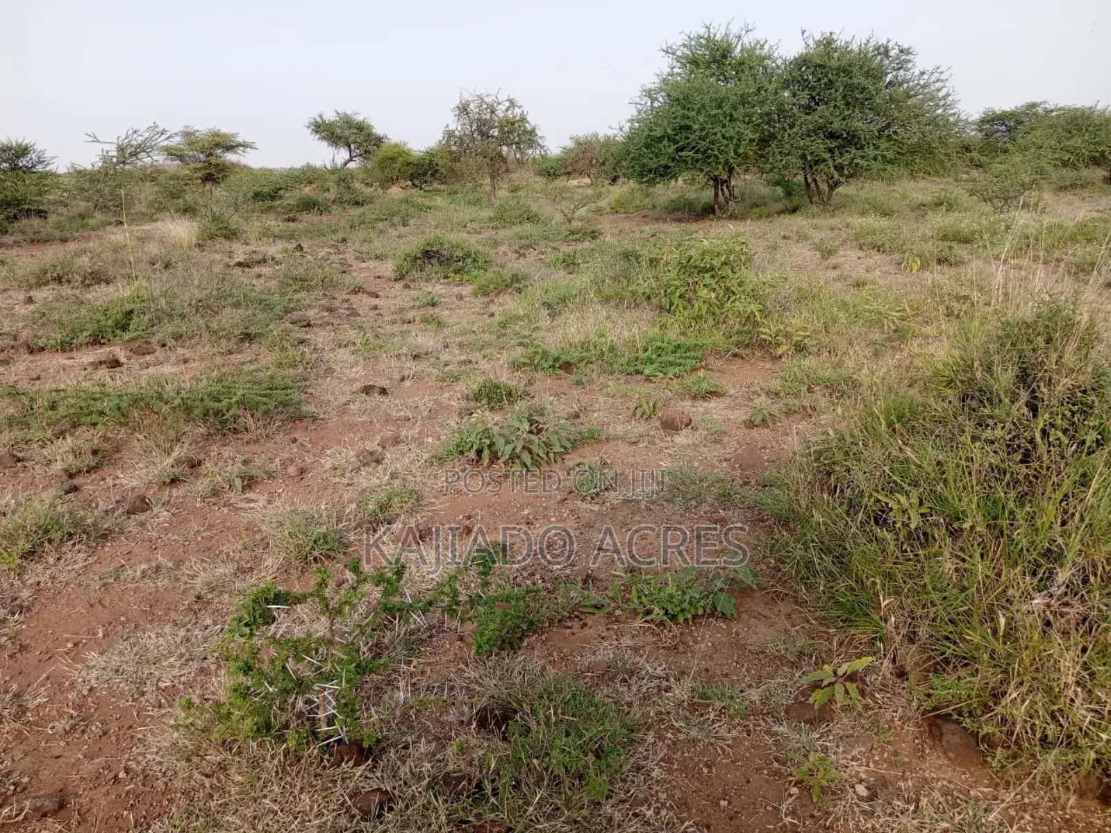 25-Acre Serashi Land for Sale: Invest in Your Dream in Ewuaso Oonkidong'I