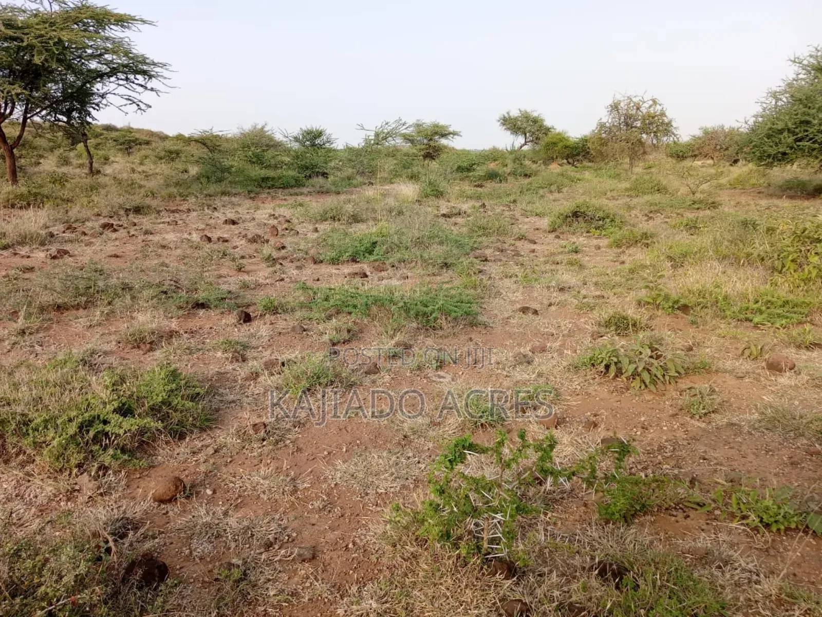 25-Acre Serashi Land for Sale: Invest in Your Dream in Ewuaso Oonkidong'I