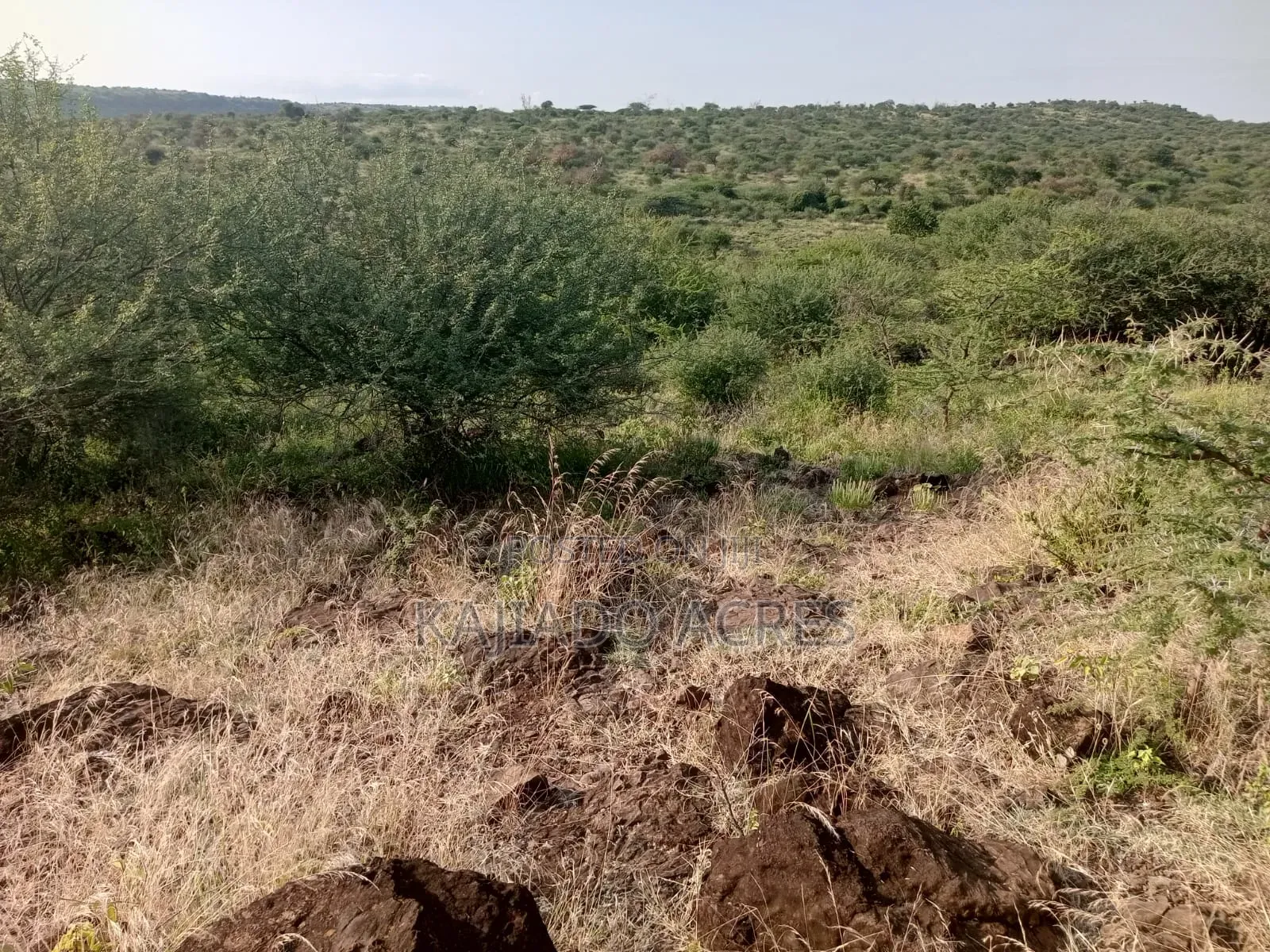 25-Acre Serashi Land for Sale: Invest in Your Dream in Ewuaso Oonkidong'I