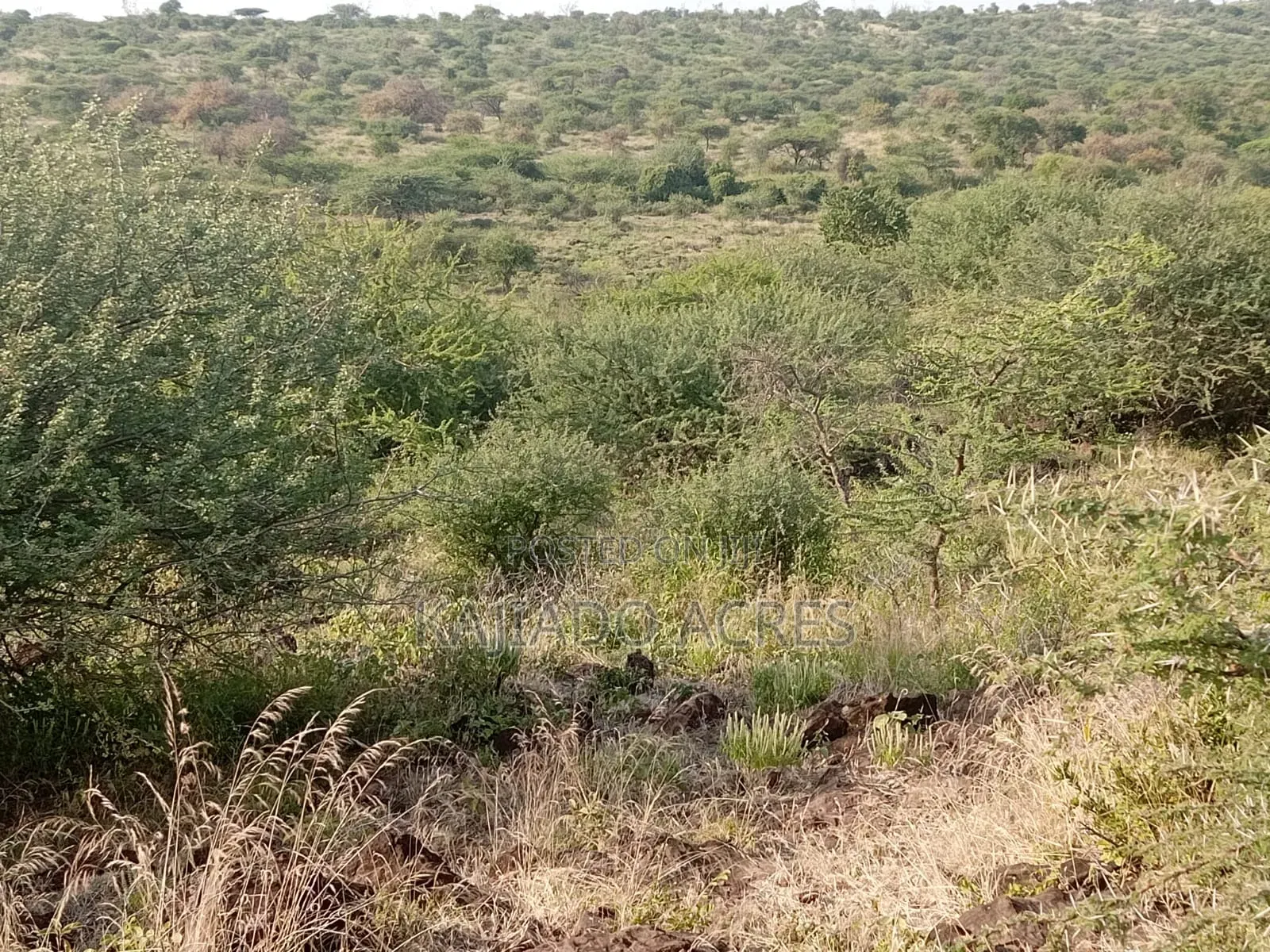 25-Acre Serashi Land for Sale: Invest in Your Dream in Ewuaso Oonkidong'I