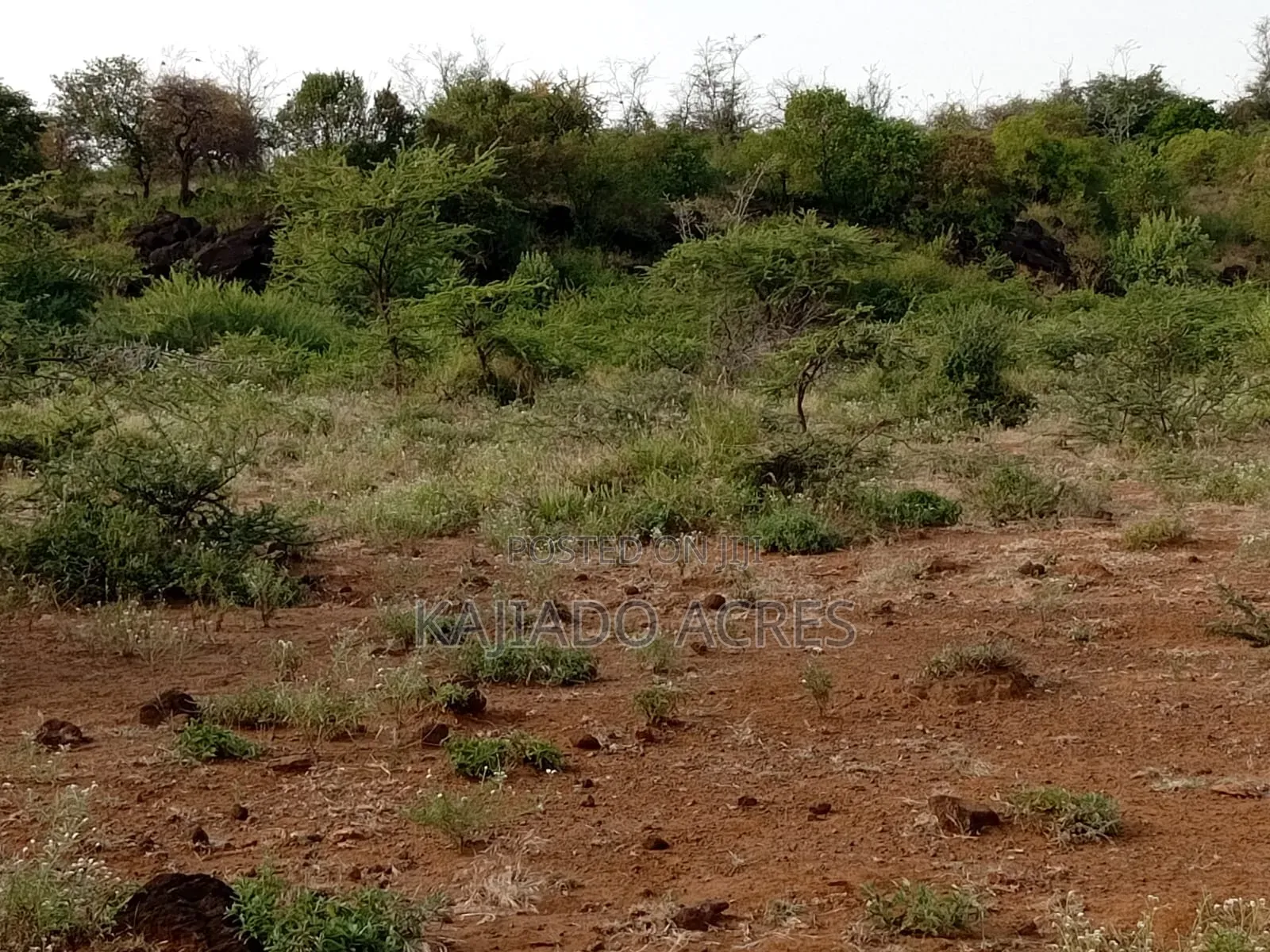 25-Acre Serashi Land for Sale: Invest in Your Dream in Ewuaso Oonkidong'I