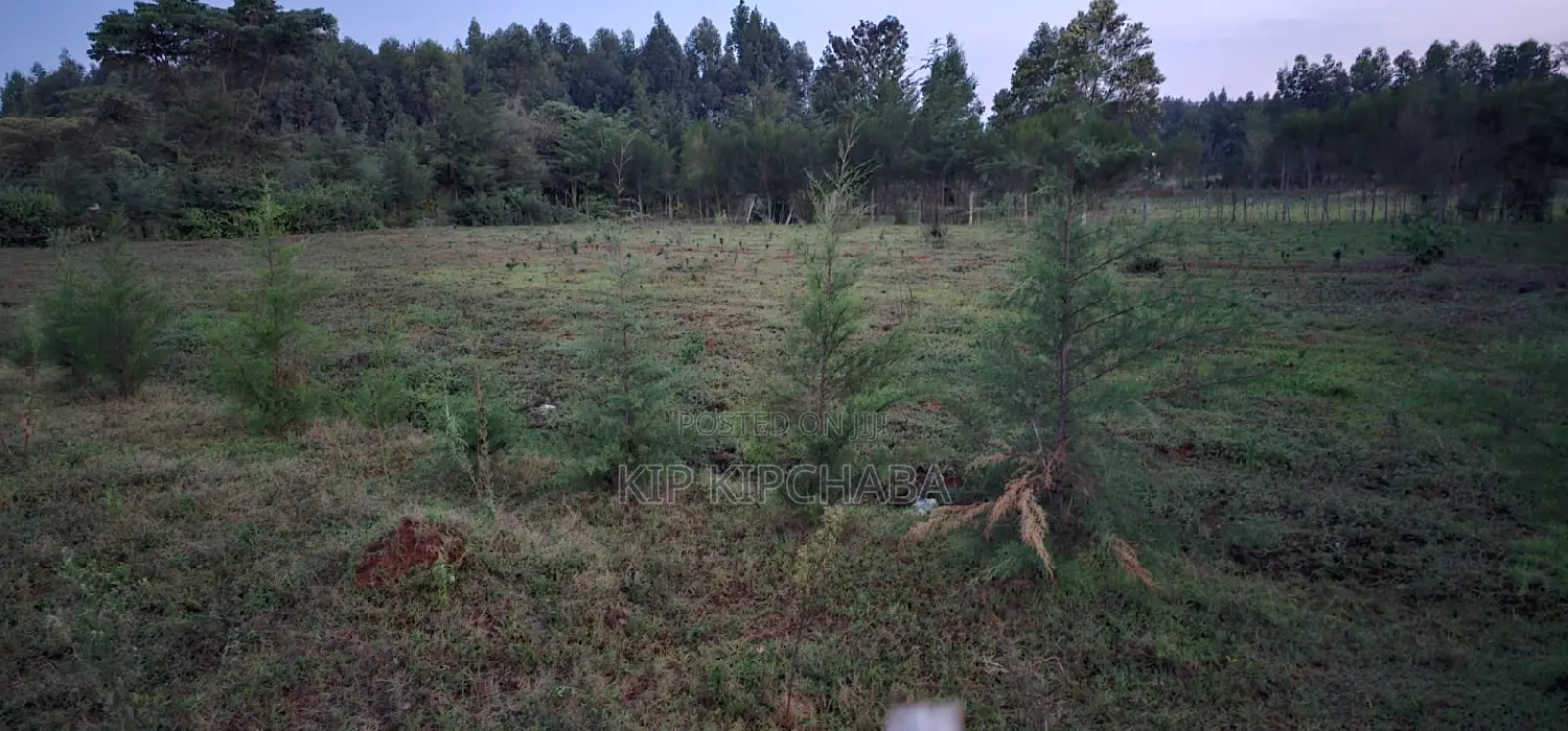 Investment Opportunity: Commercial Acres near Kapseret Bypass in Eldoret in Kapseret