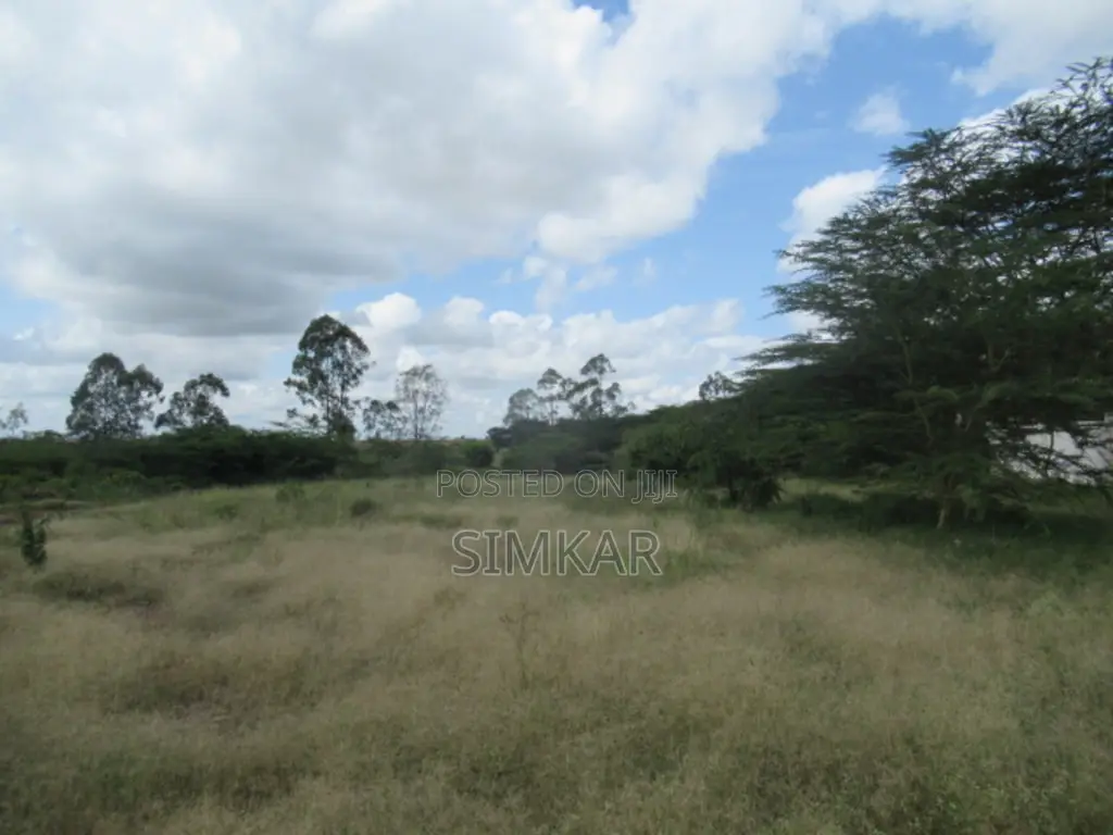 20 Acres Land for Sale in Ongata Rongai: Your Perfect Investment! in Maasai Lodge