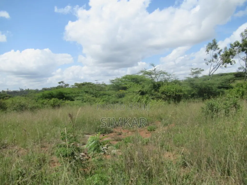 20 Acres Land for Sale in Ongata Rongai: Your Perfect Investment! in Maasai Lodge